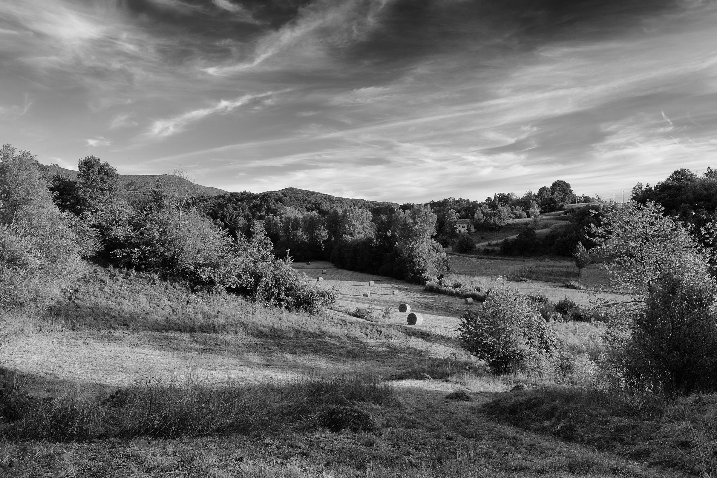 The house in the woods