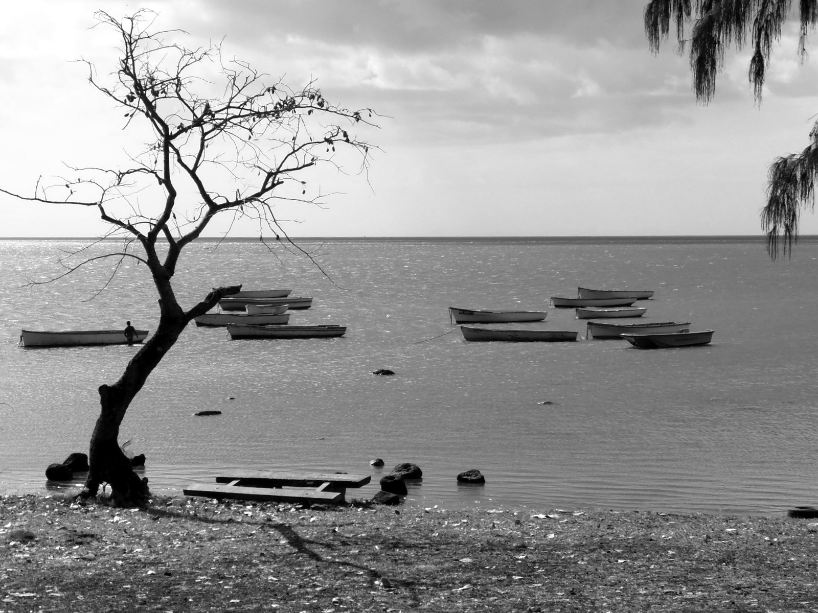 Boats in Black & White