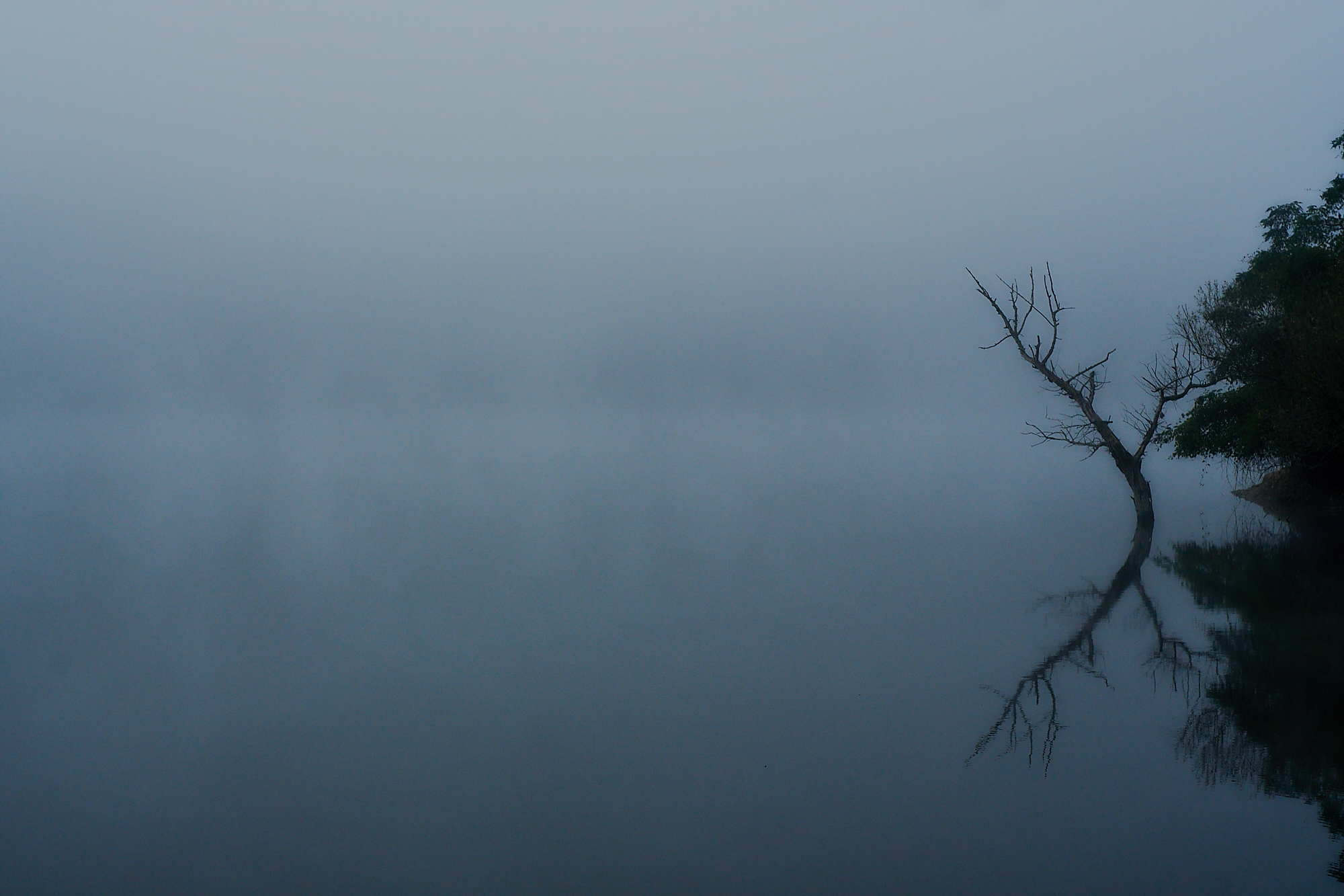 Foggy Lake