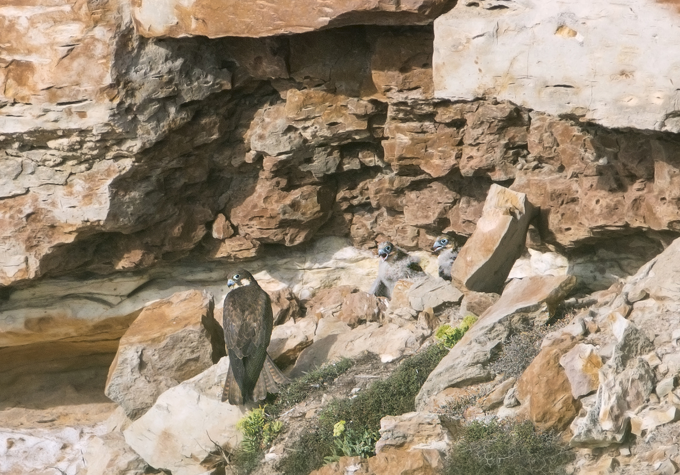 documento....lontanissimi