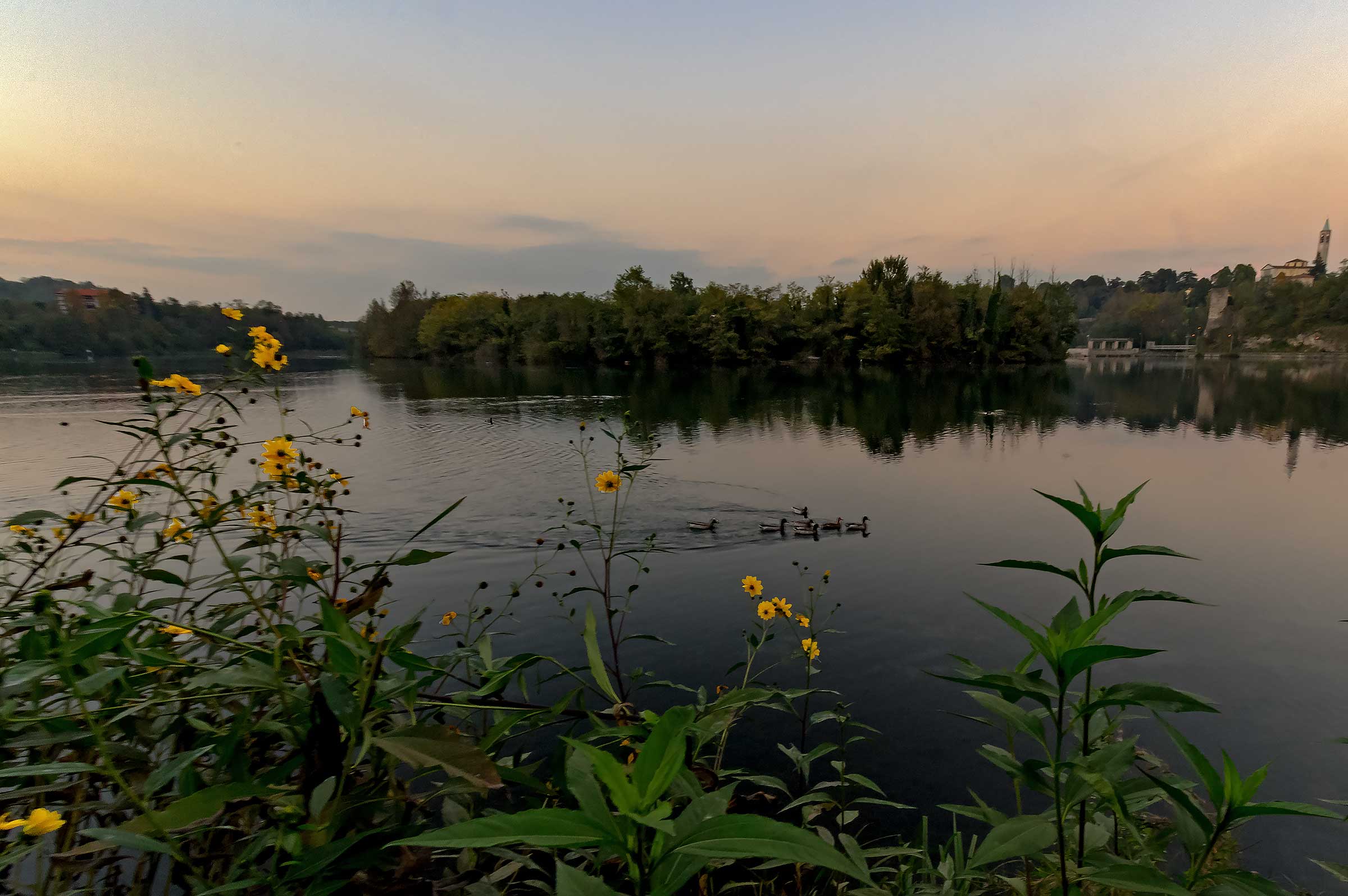 Little family for a stroll after dark