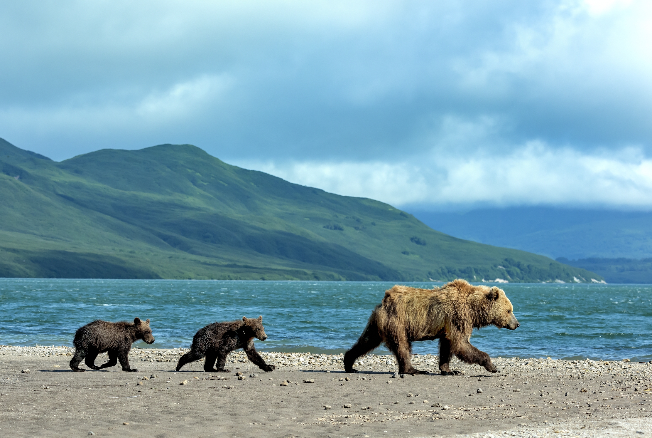 Kamchatka 2016 - A spasso