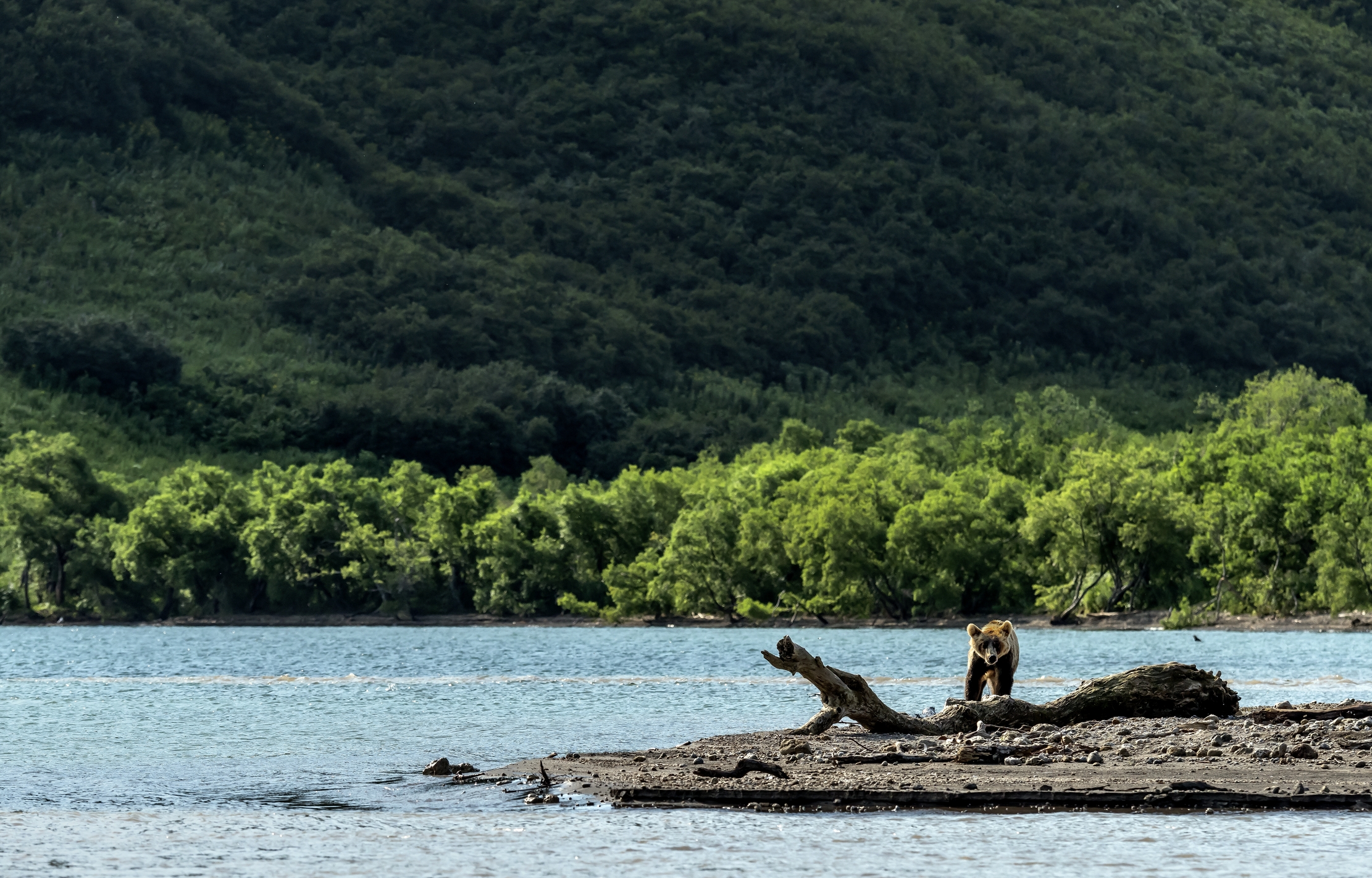 Kamchatka 2016 - Kurile Lake