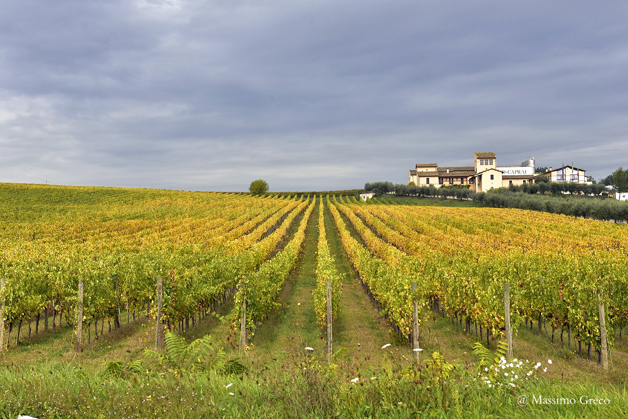 Umbria, terra di grandi vini...