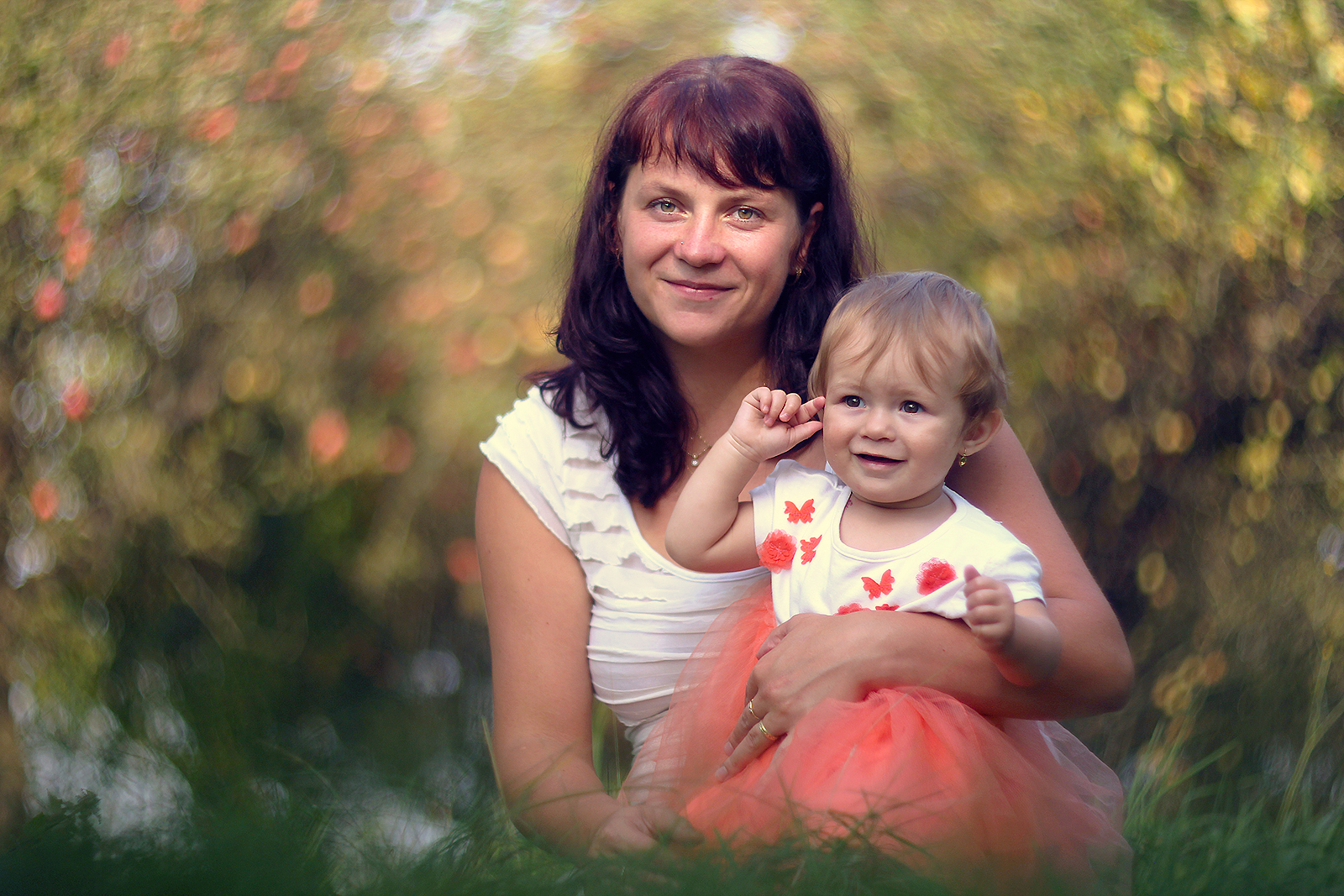 Beauties of the apple orchard