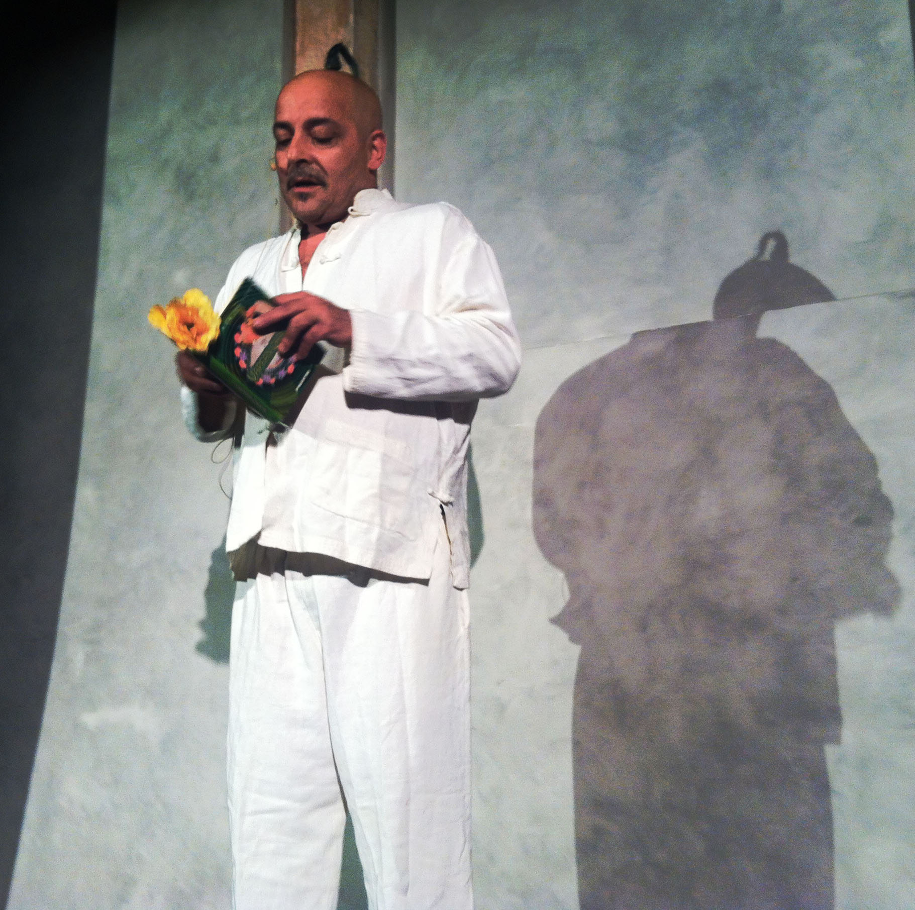 Dice il geco al cincillà..