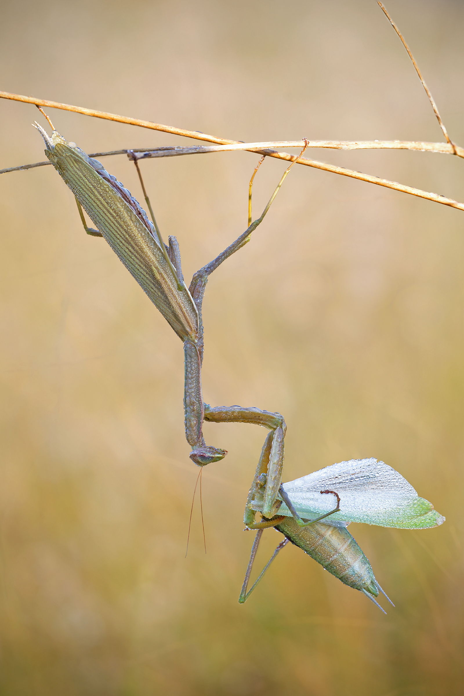 Good time for breakfast