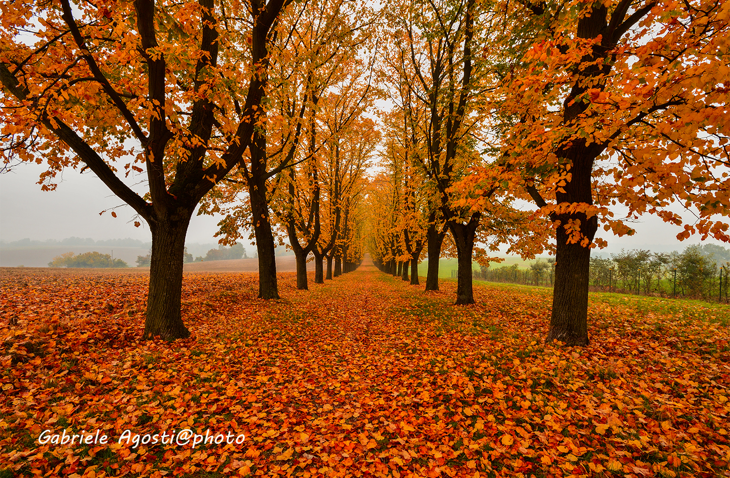 I colori dell'autunno