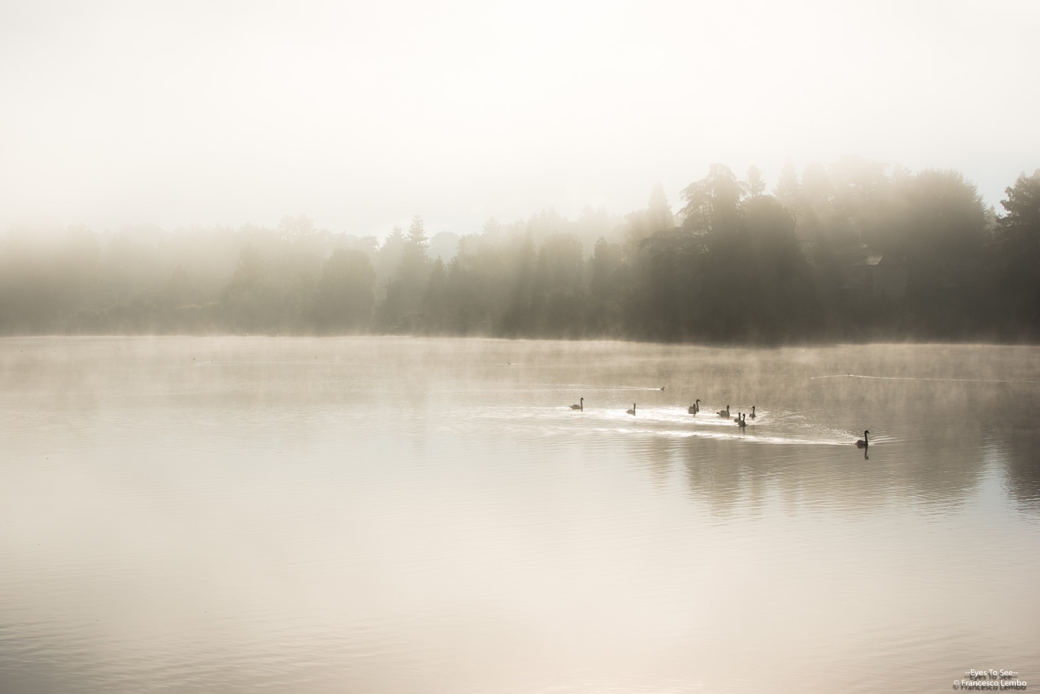 Prime mists on Ticino