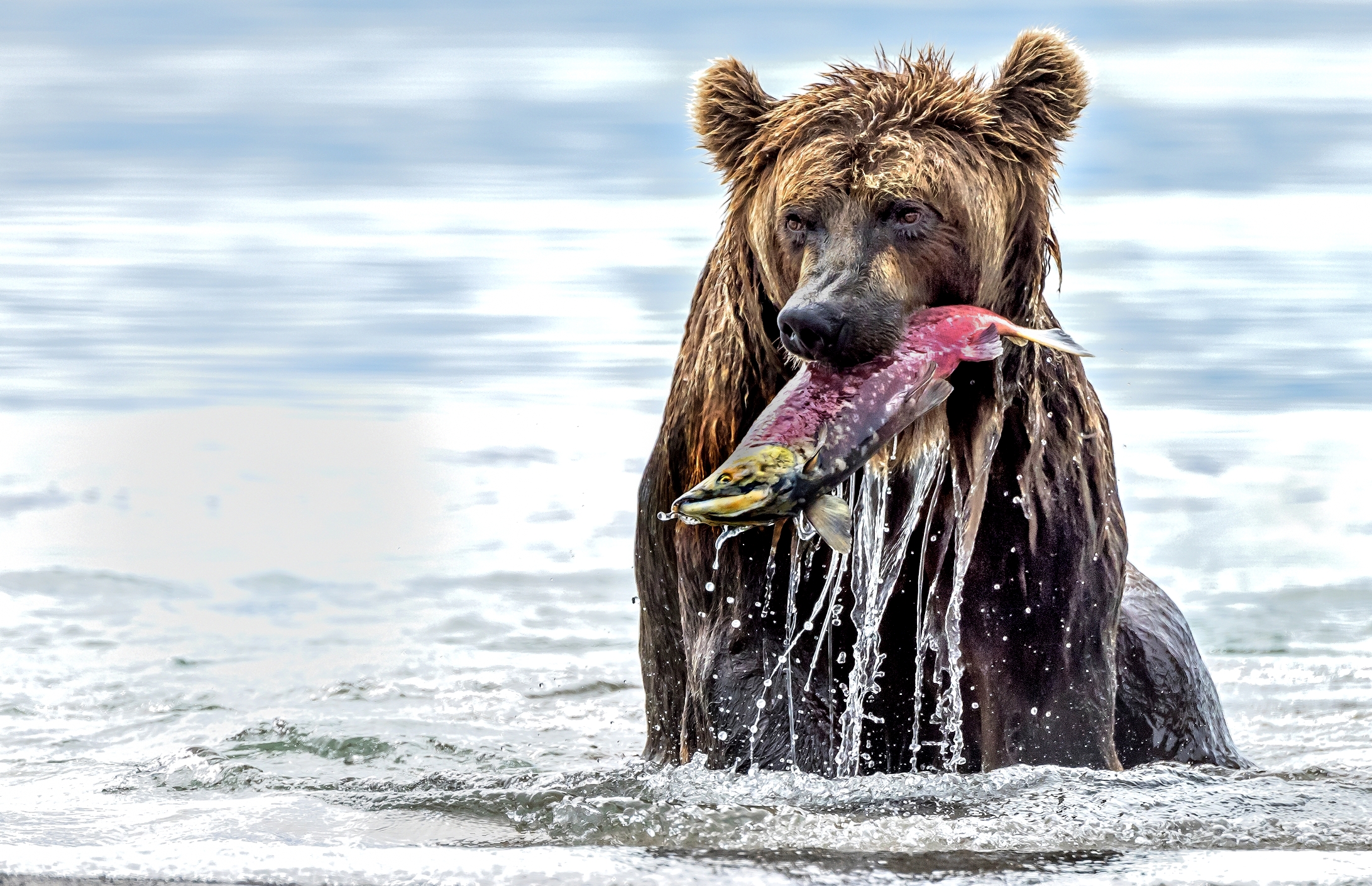 Kamchatka 2016 - Fishing