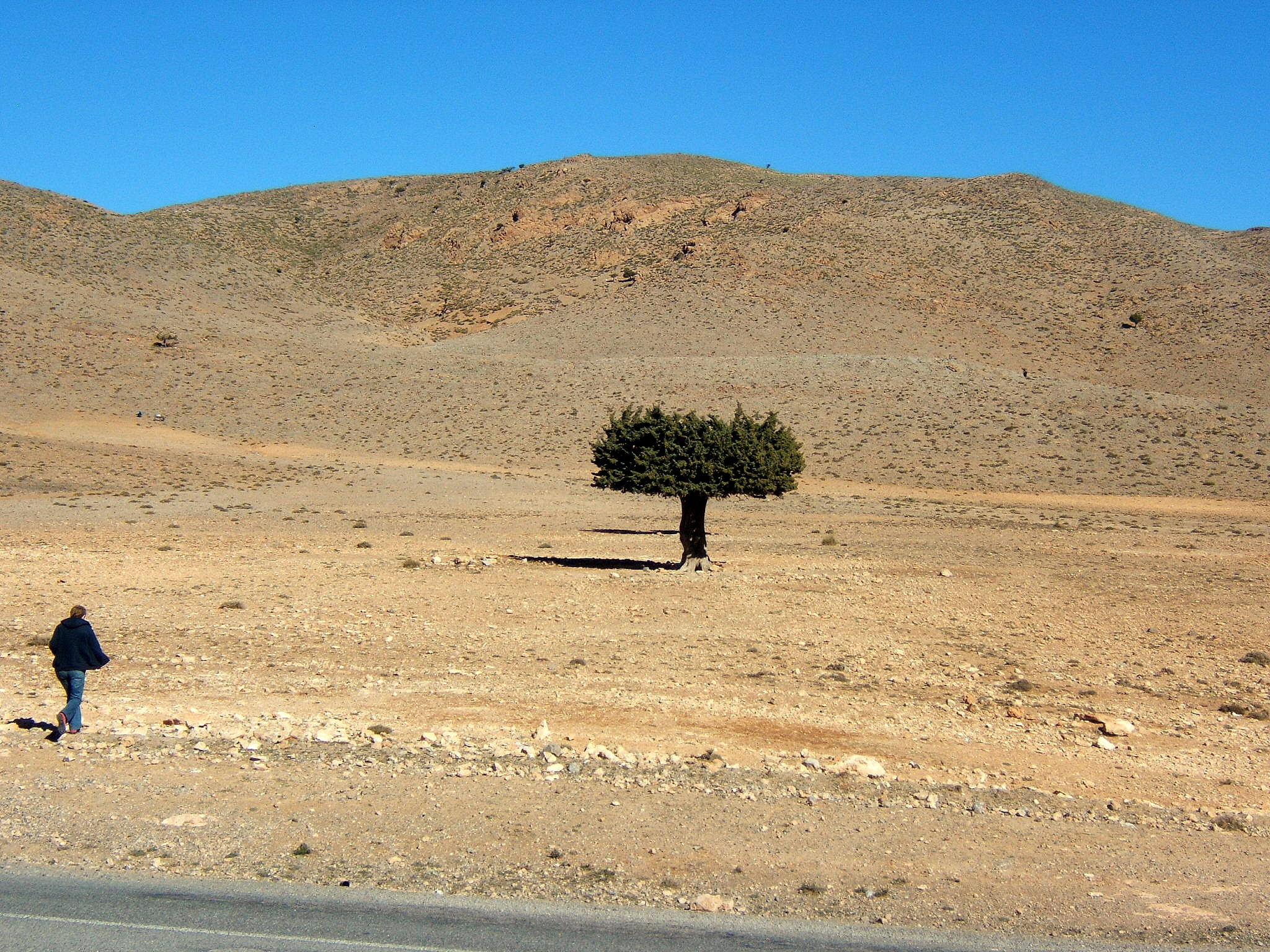 I lose .......... (Morocco)