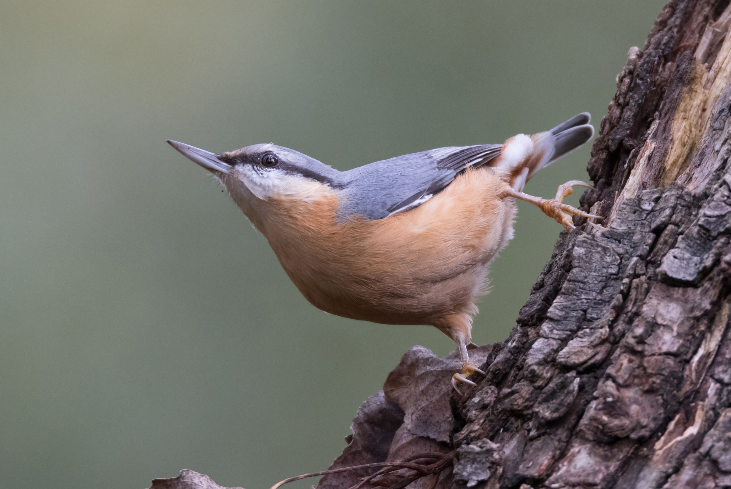 Plastic installation