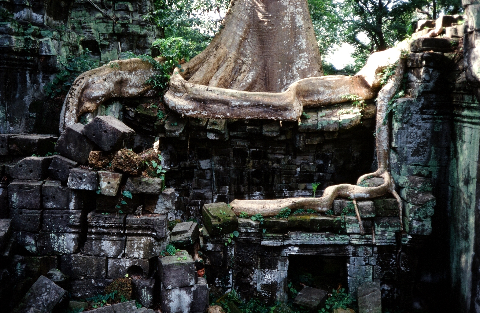 Game to hide - Angkor, Cambodia