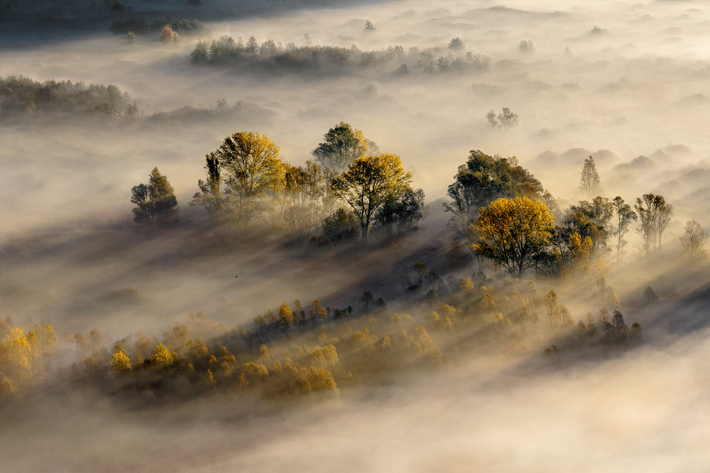 The Beauty on the banks of the Adda