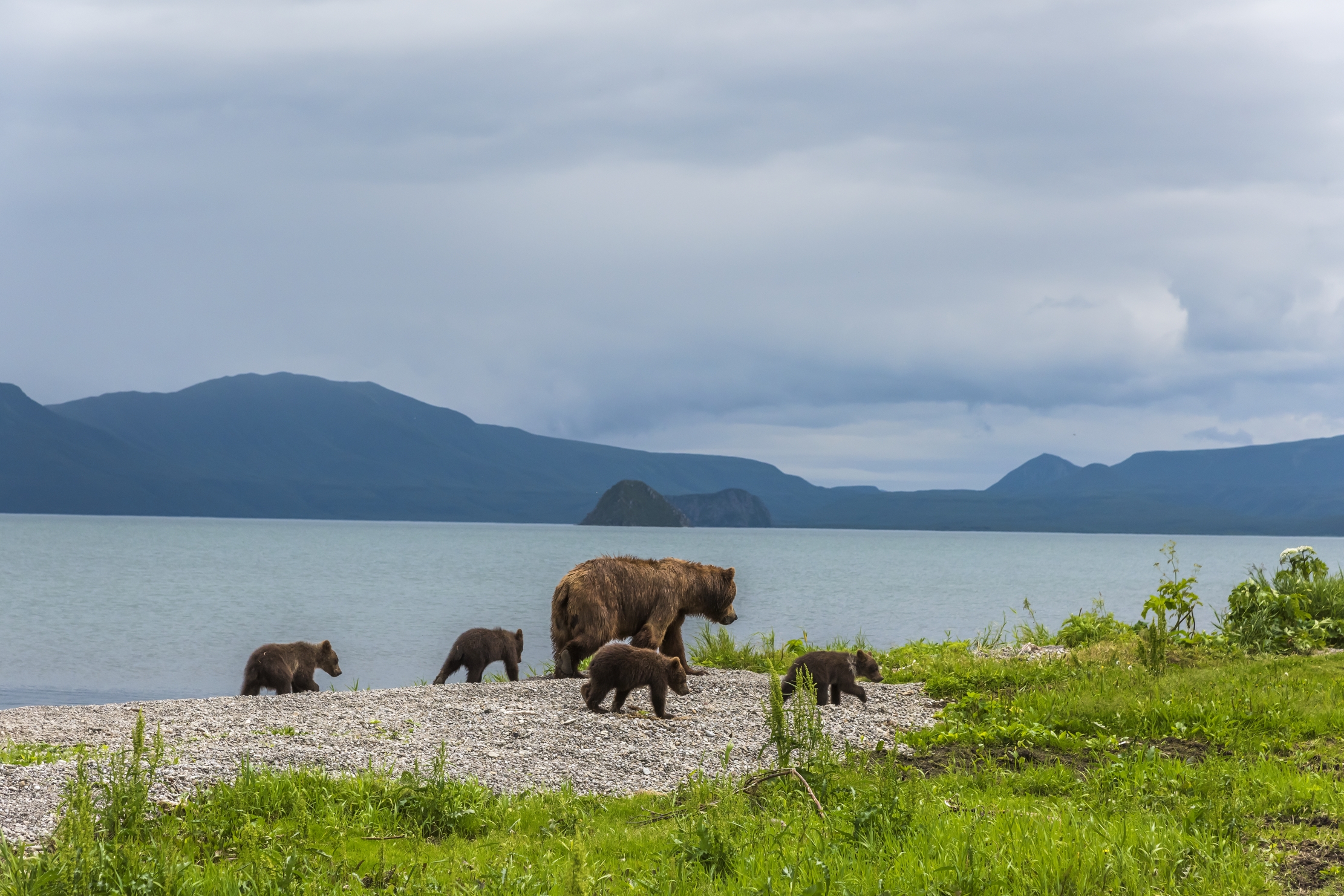 Kamchatka 2016 - Sul lago di sera