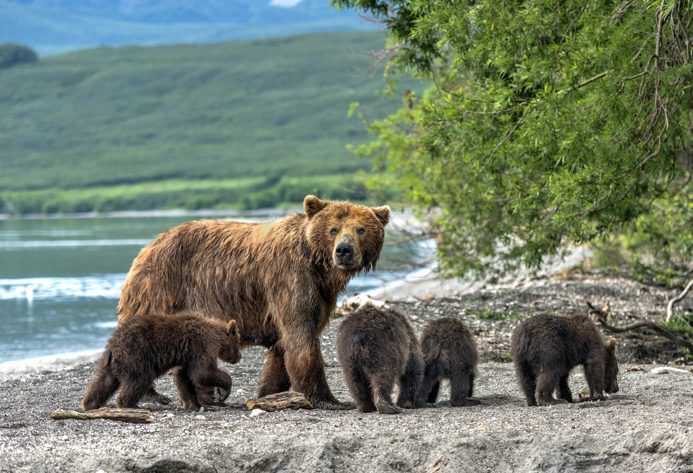 Kamchatka 2016 - Family