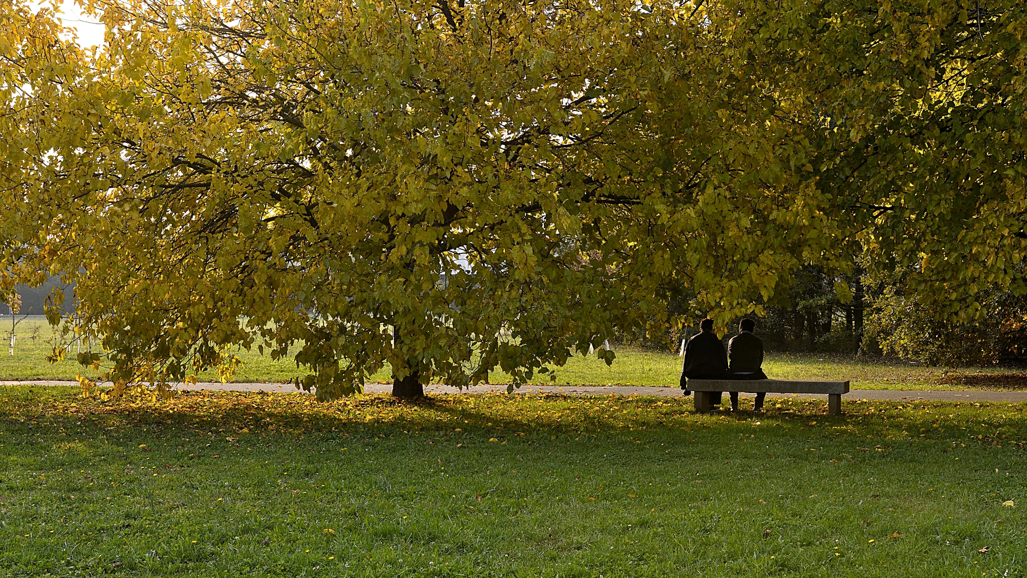 Enjoying the autumn sun