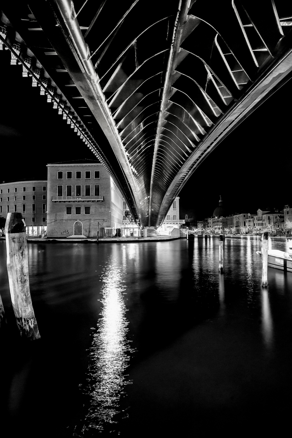 Under the Calatrava bridge