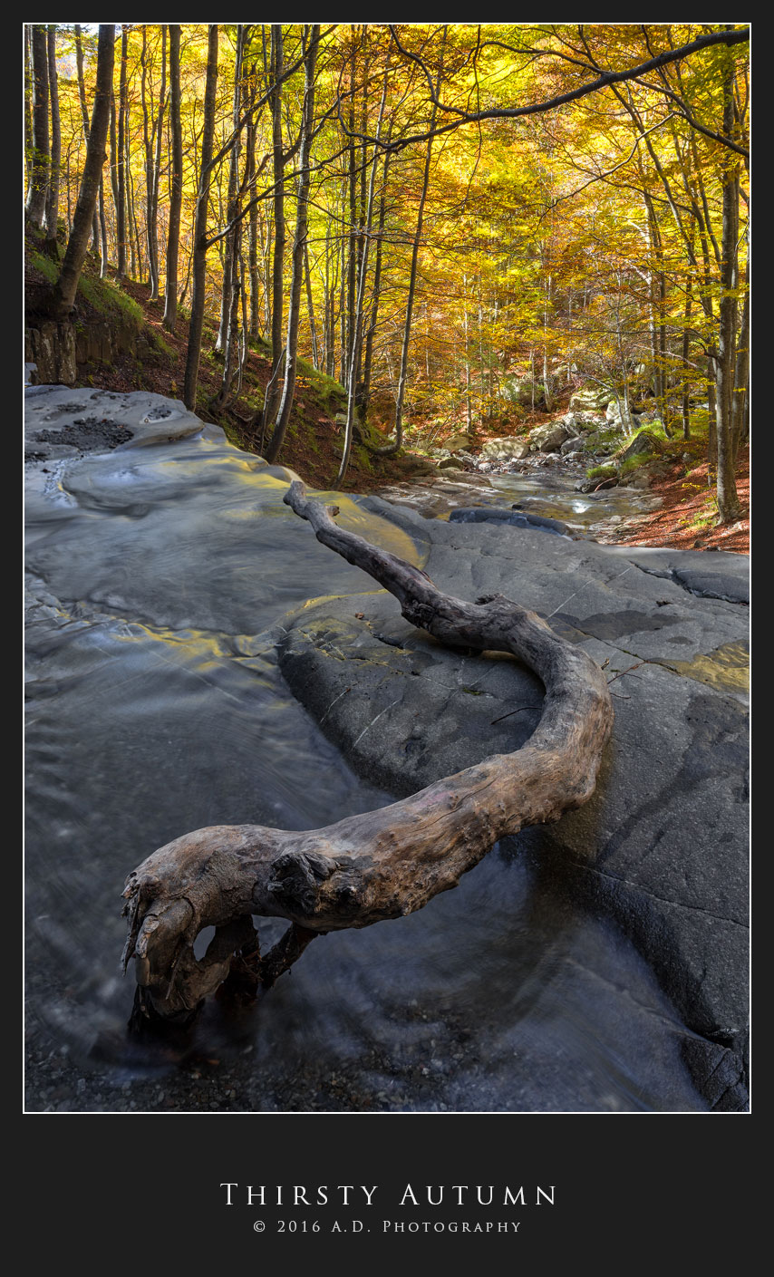 Thirsty Autumn