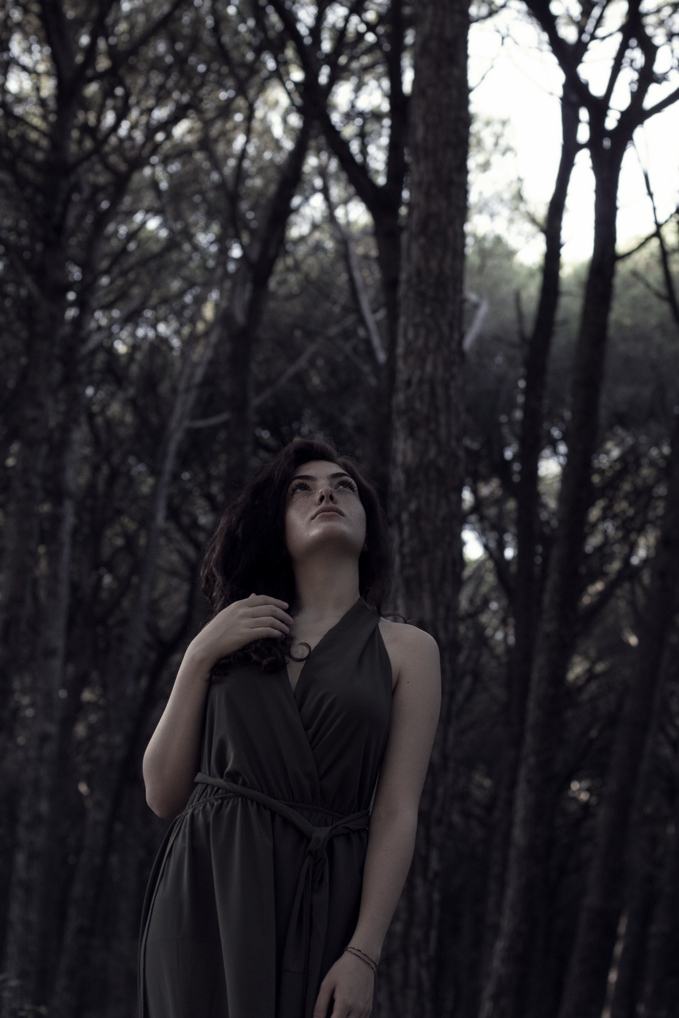 Walking into the woods