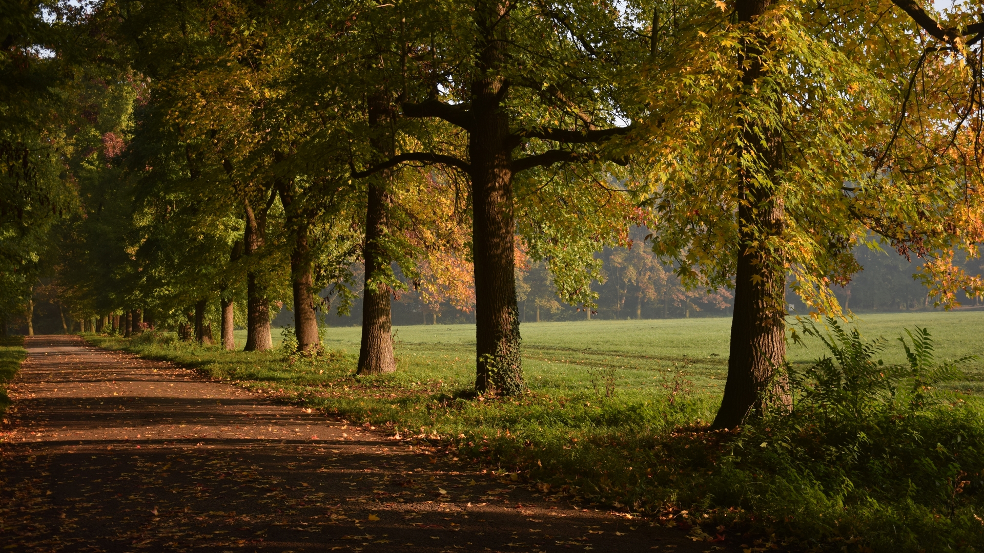 On the way to the autumn