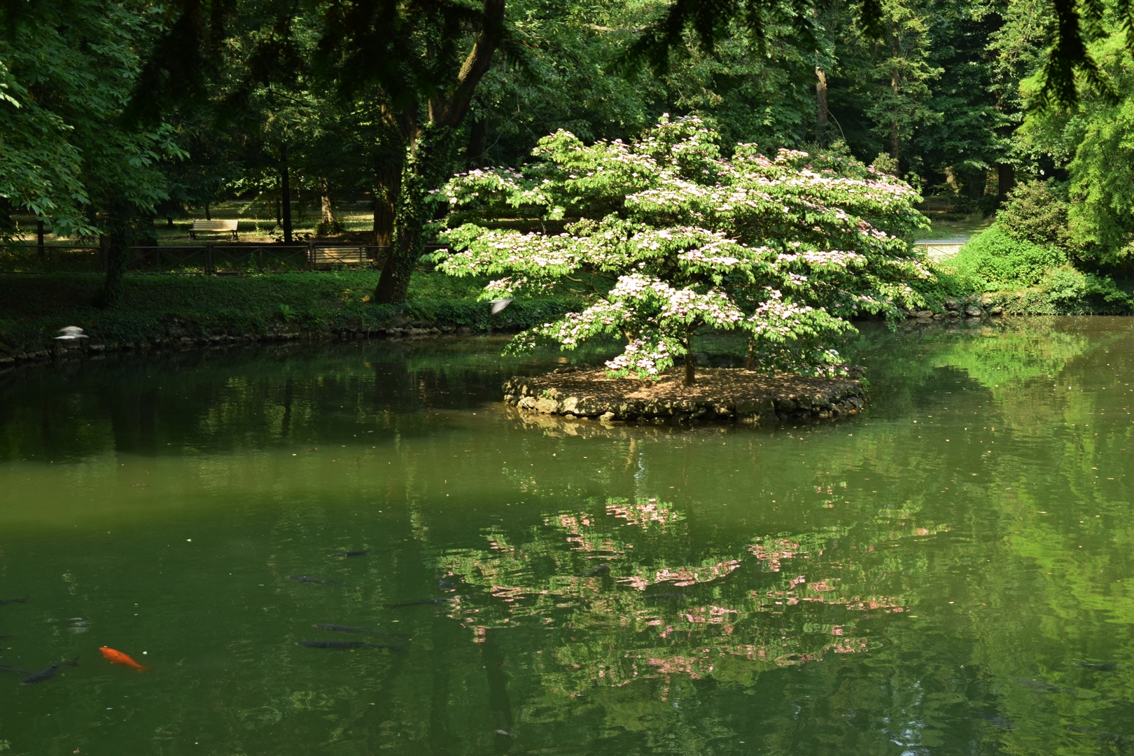 They are like you !!