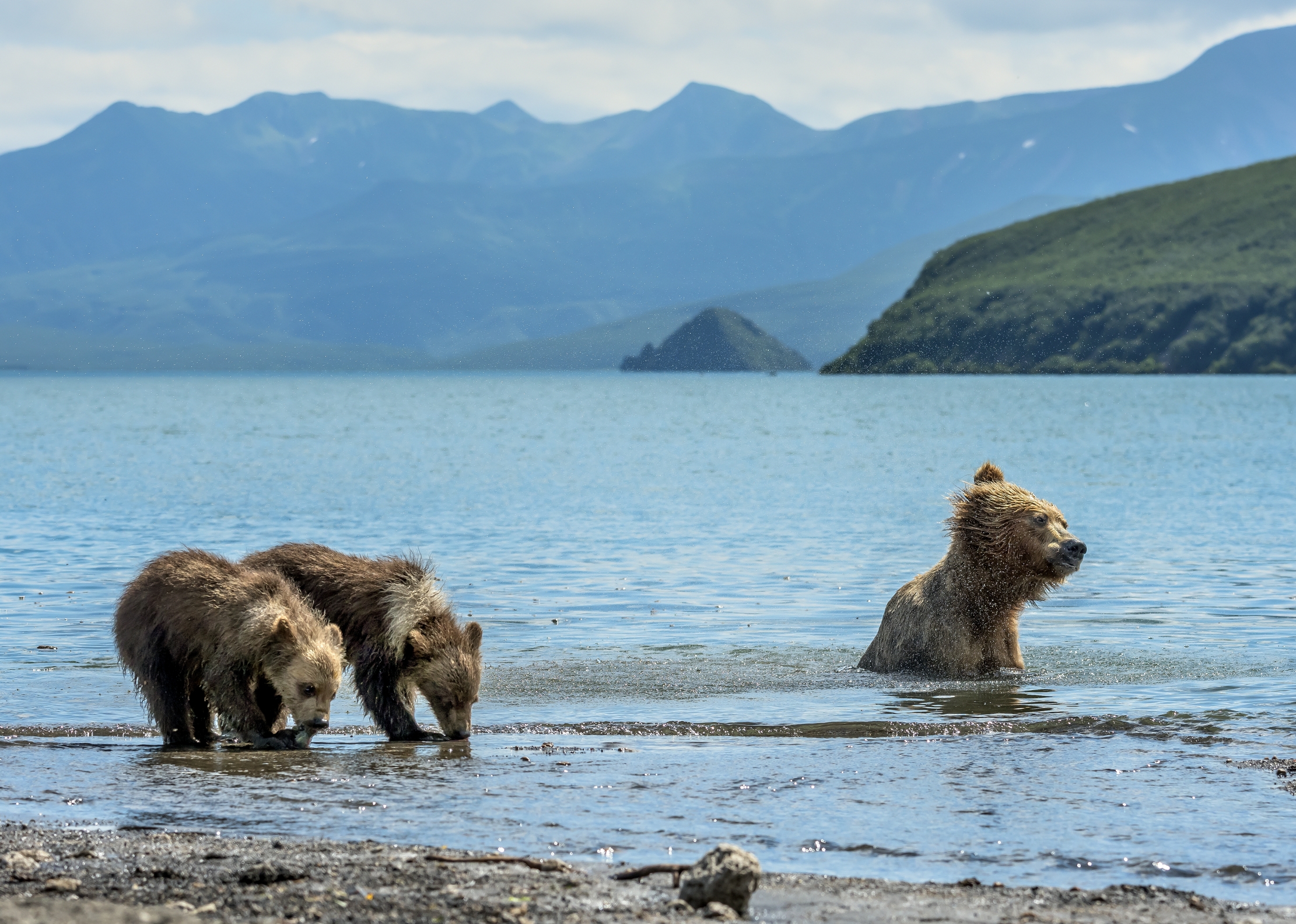 Kamchatka 2016 - Kurile lake