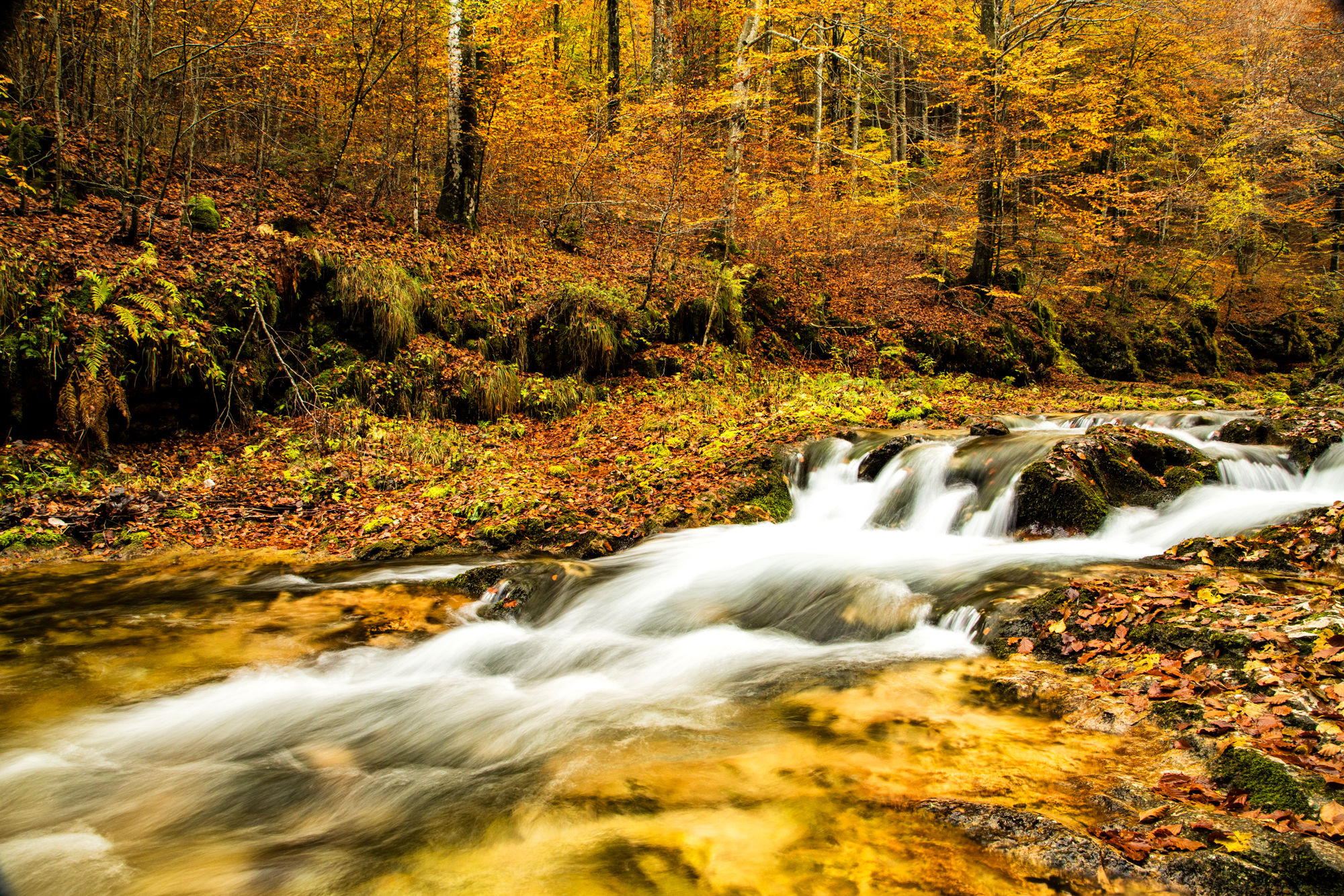 Autunno in Val d'Arzino