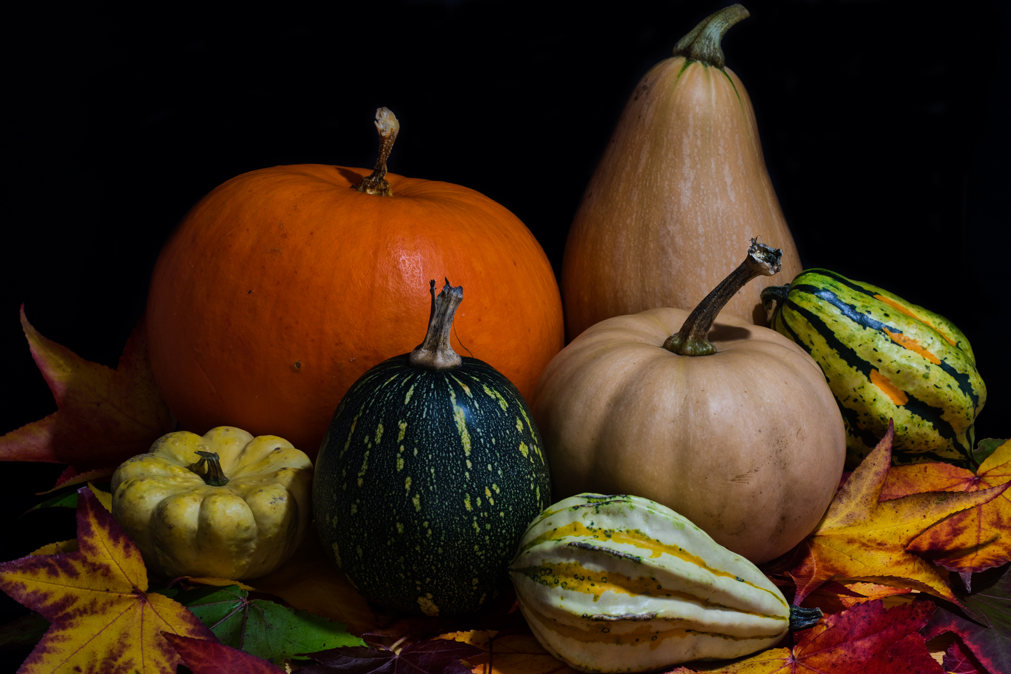 Halloween si avvicina