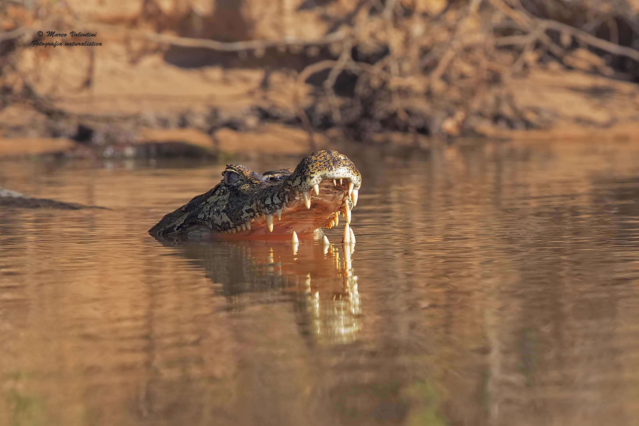 dangerous reflections