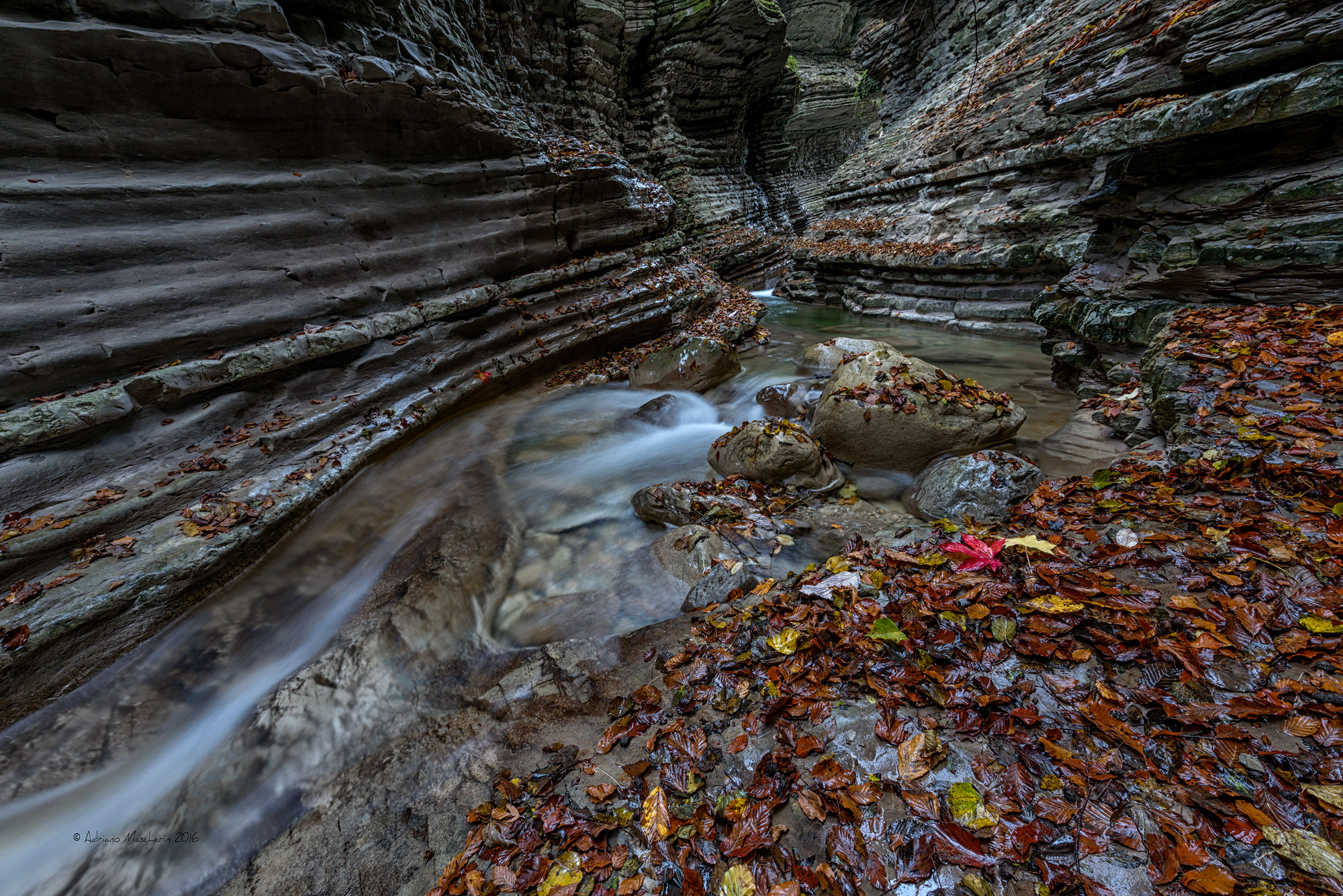 Il Brent de l'Art in veste autunnale