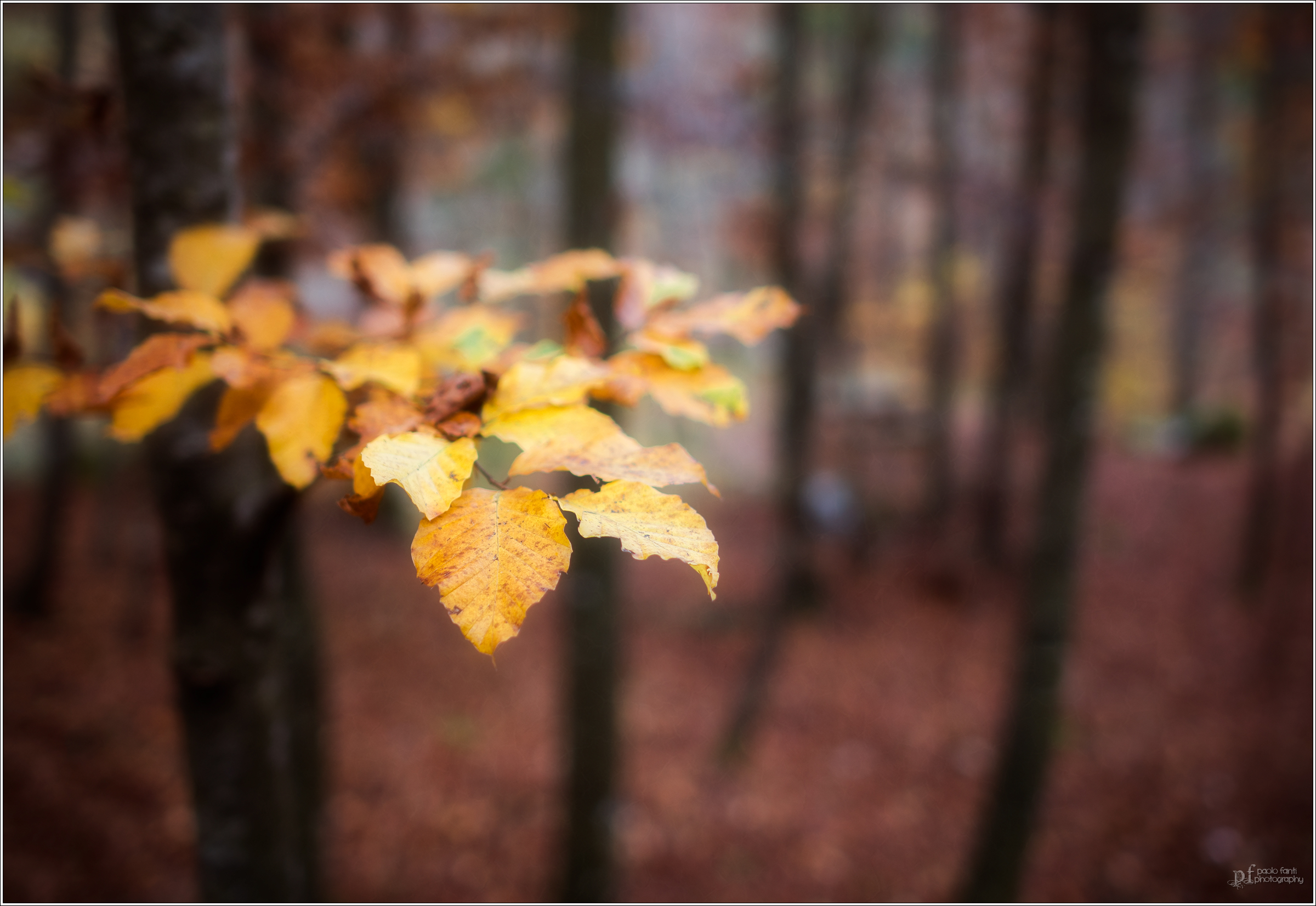 Nothing lasts forever