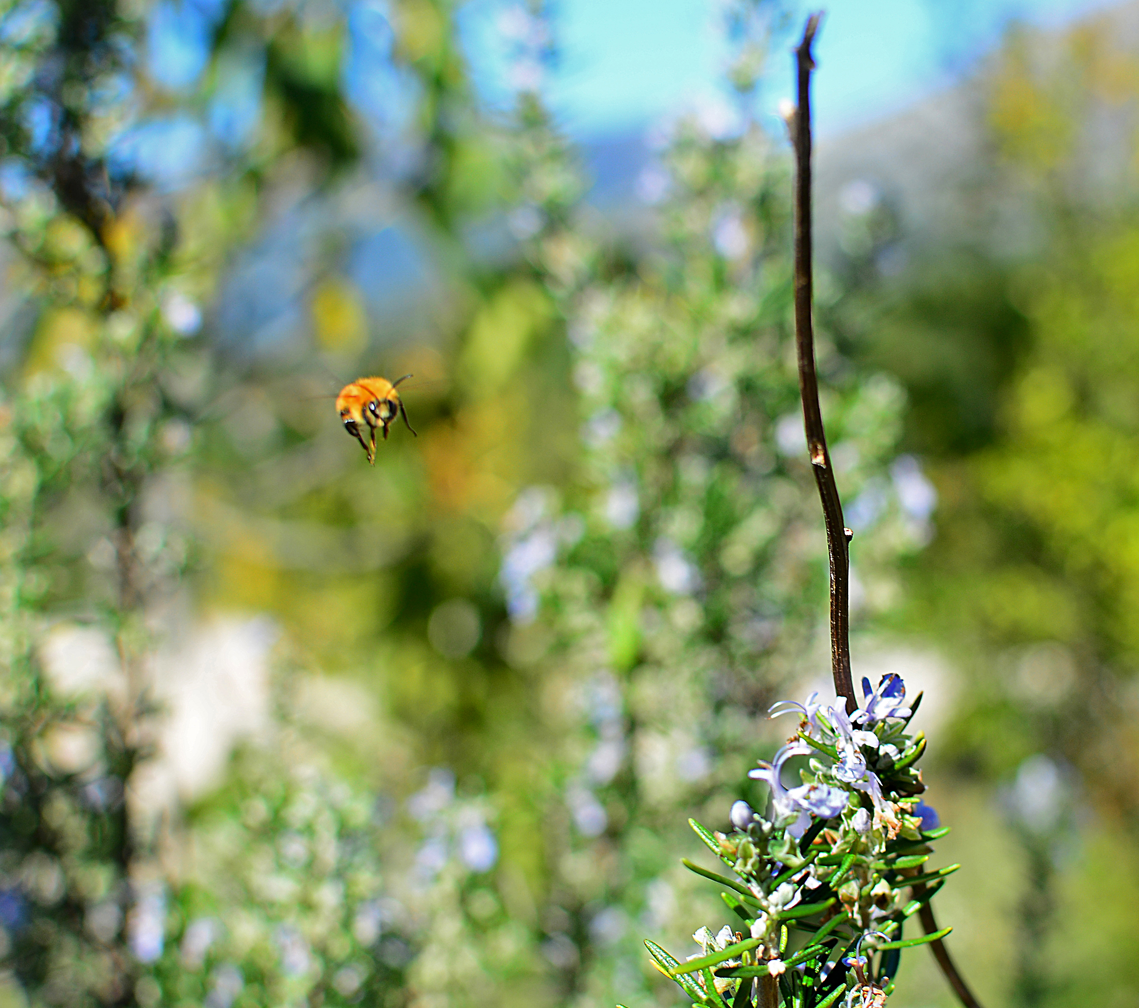 "Ehi aspettatemi, sto arrivando.. "
