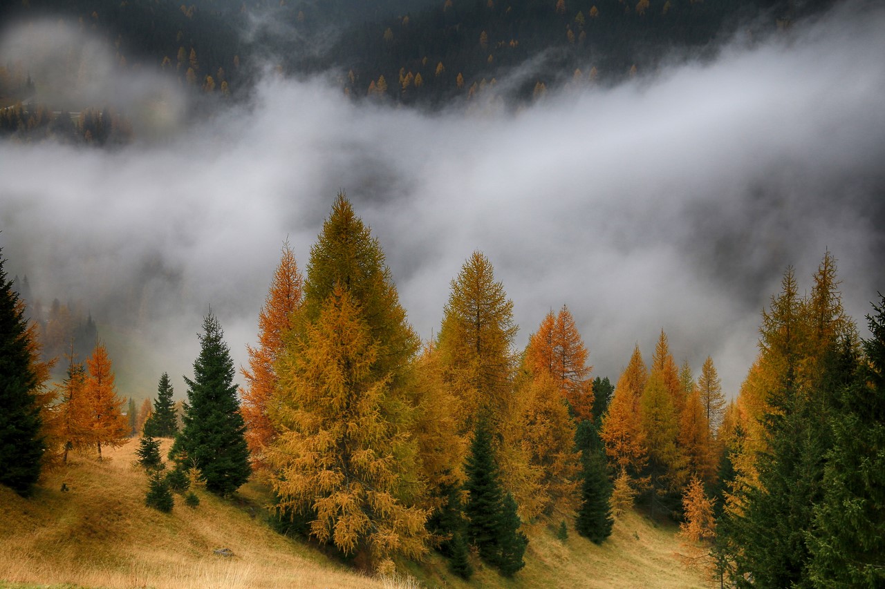 Nebbia e colori d'autunno!