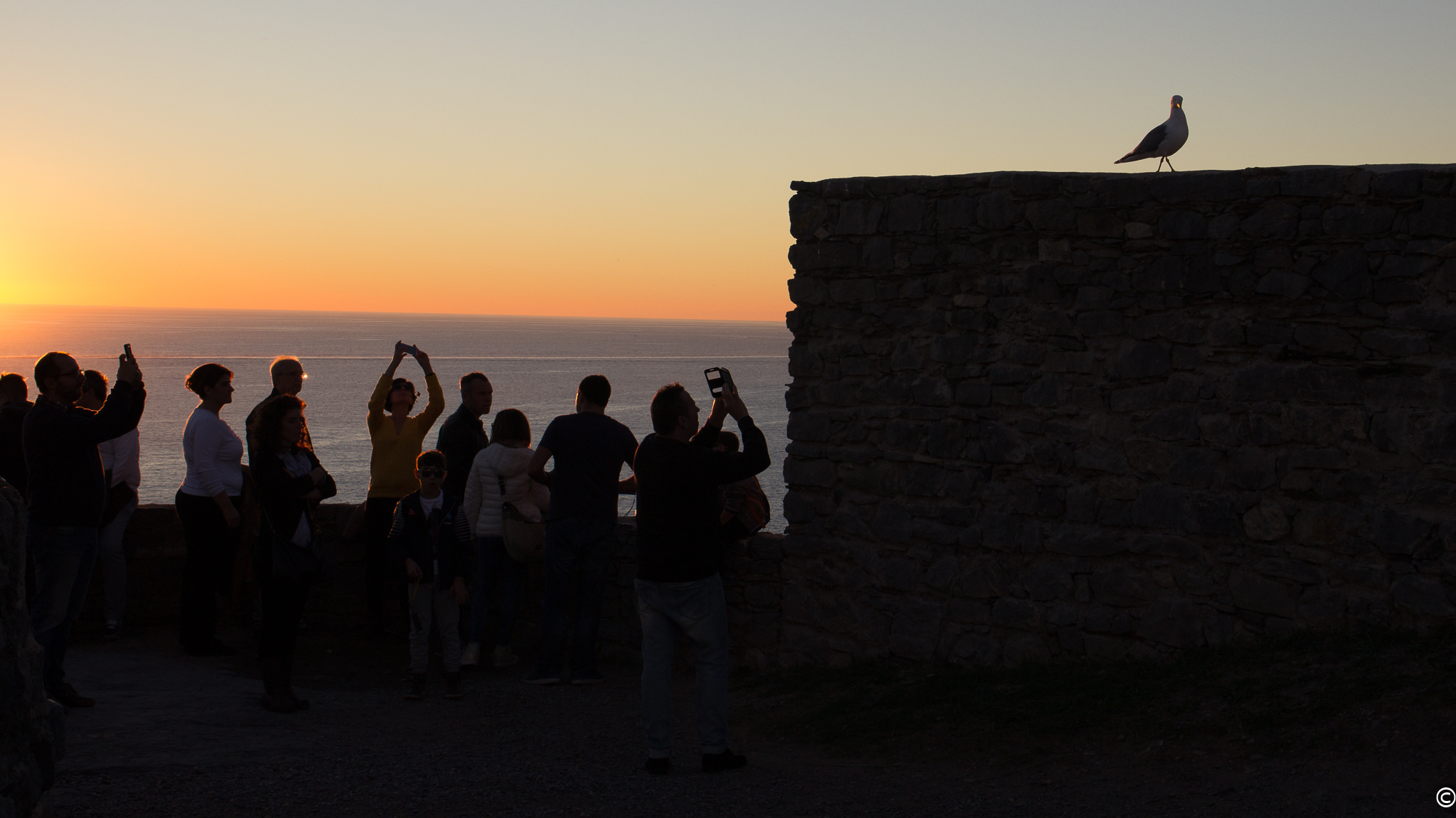 Shooting all'ora d'oro - Model: il gabbiano