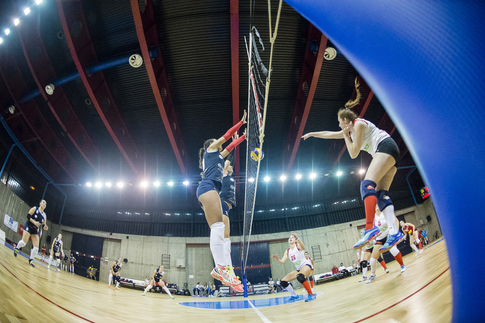 volleyball Piccolginate