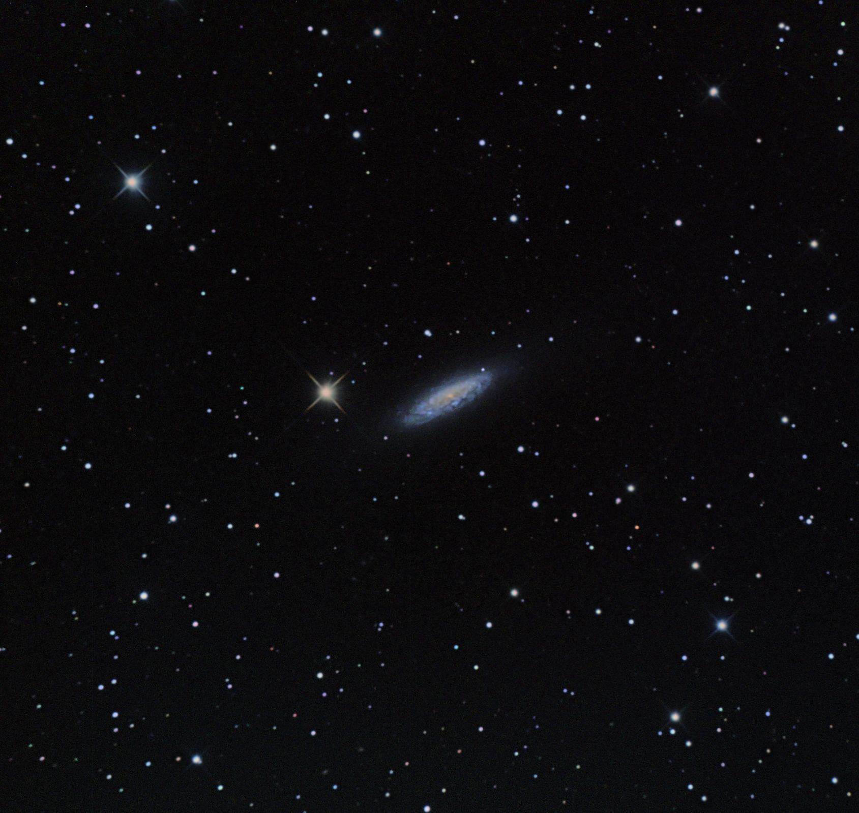 NGC 6503