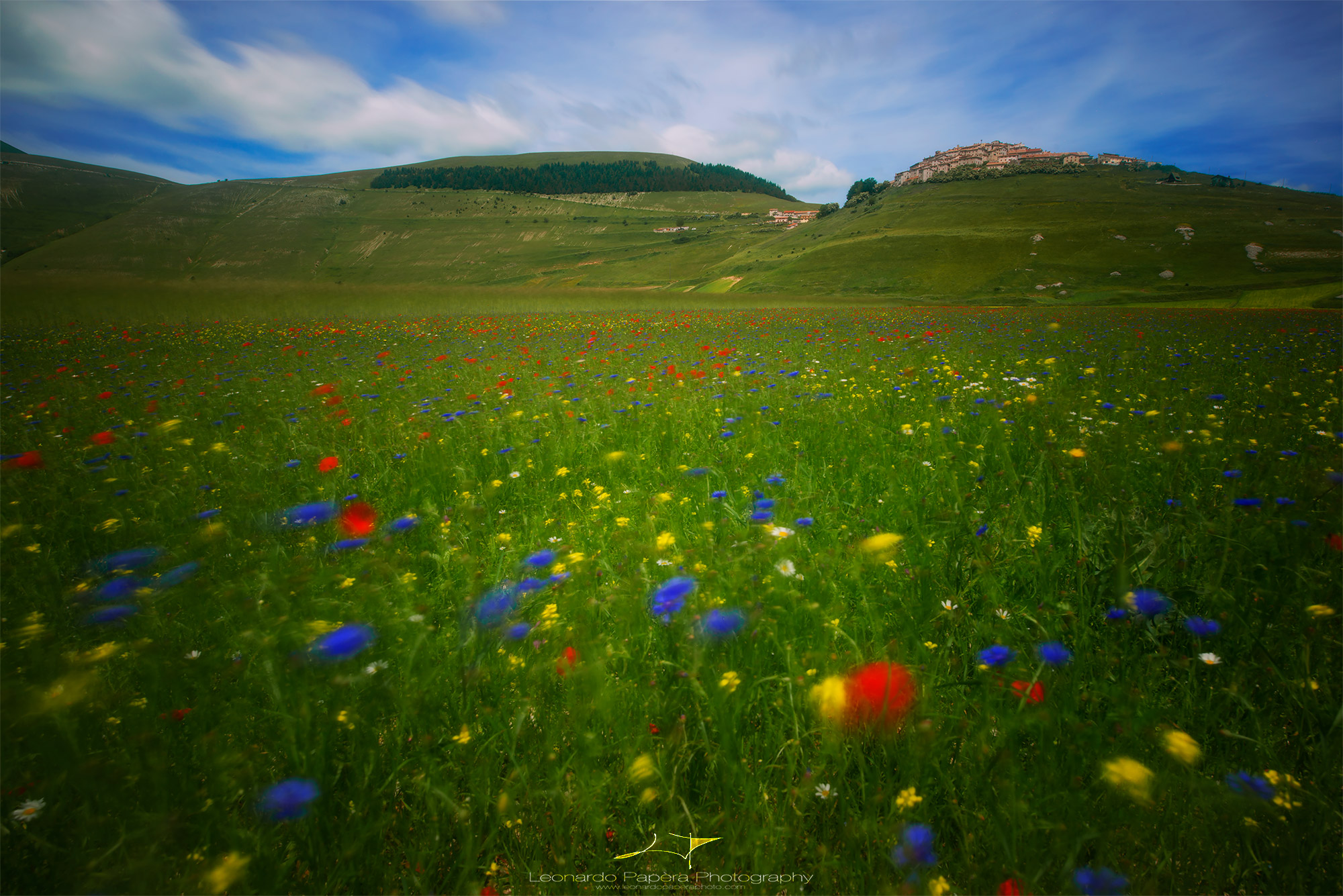 L'Isola che non c'è