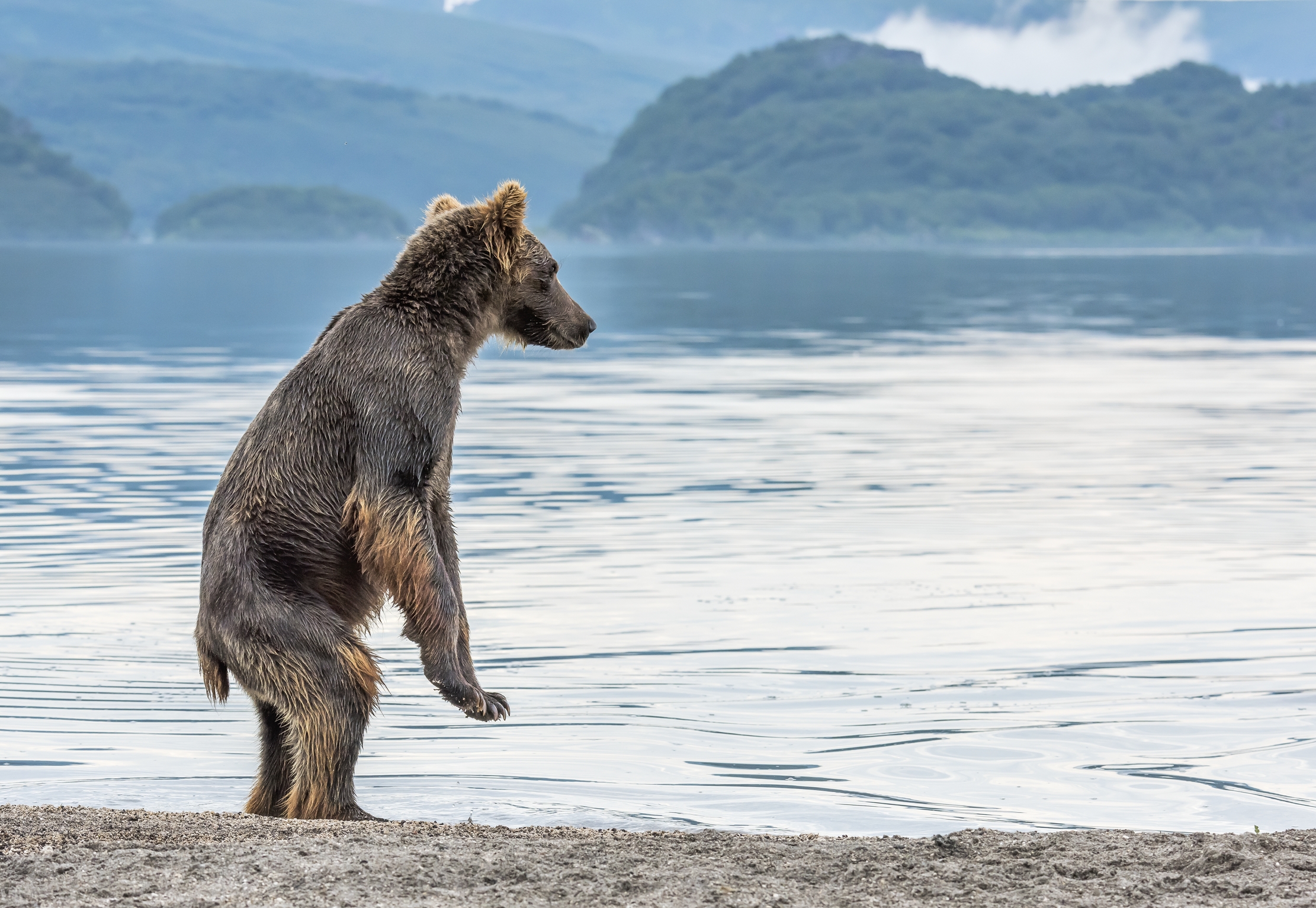 Kamchatka 2016 - Osservando il lago