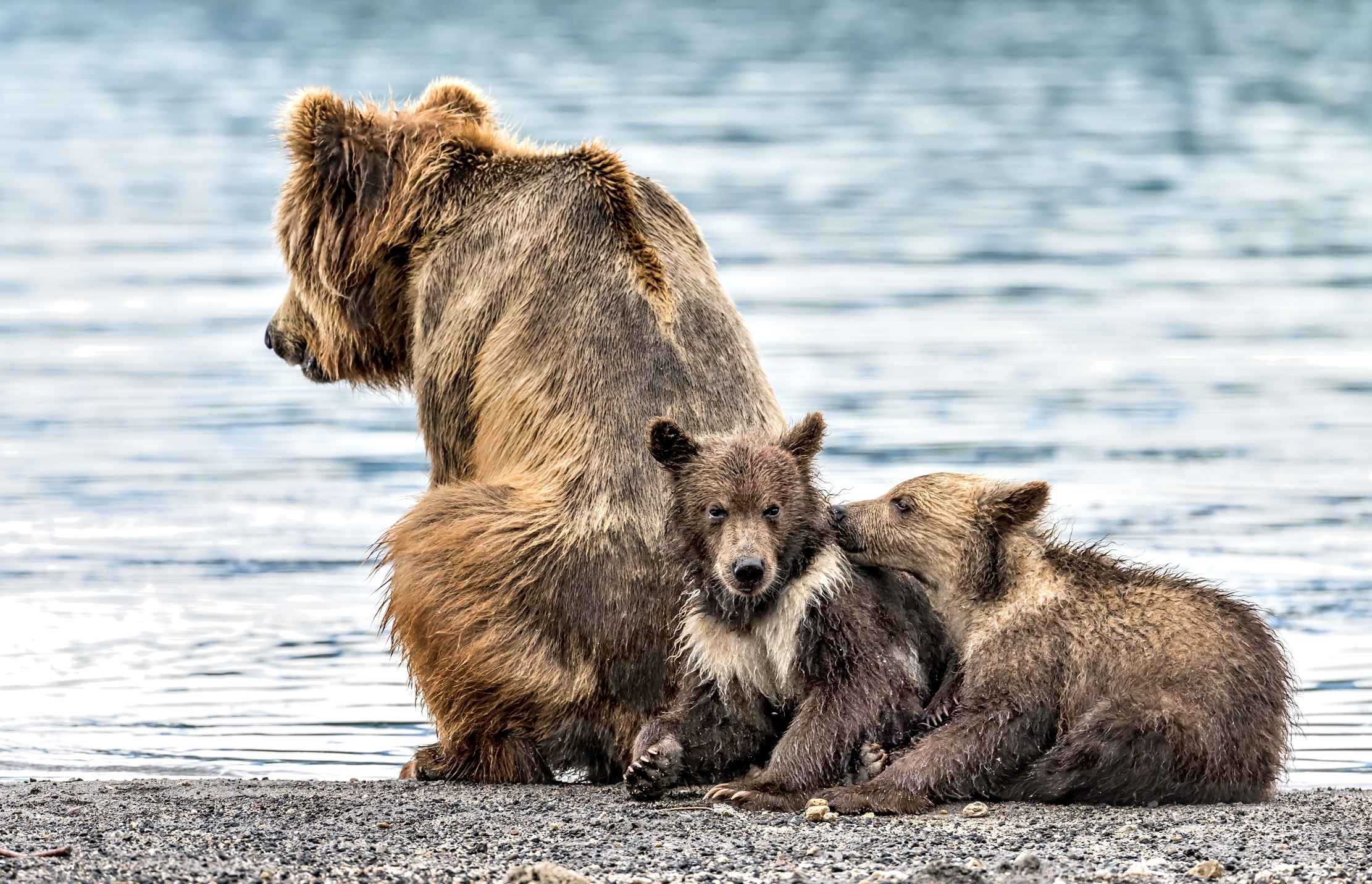 Kamchatka 2016 - Con la mamma a pesca