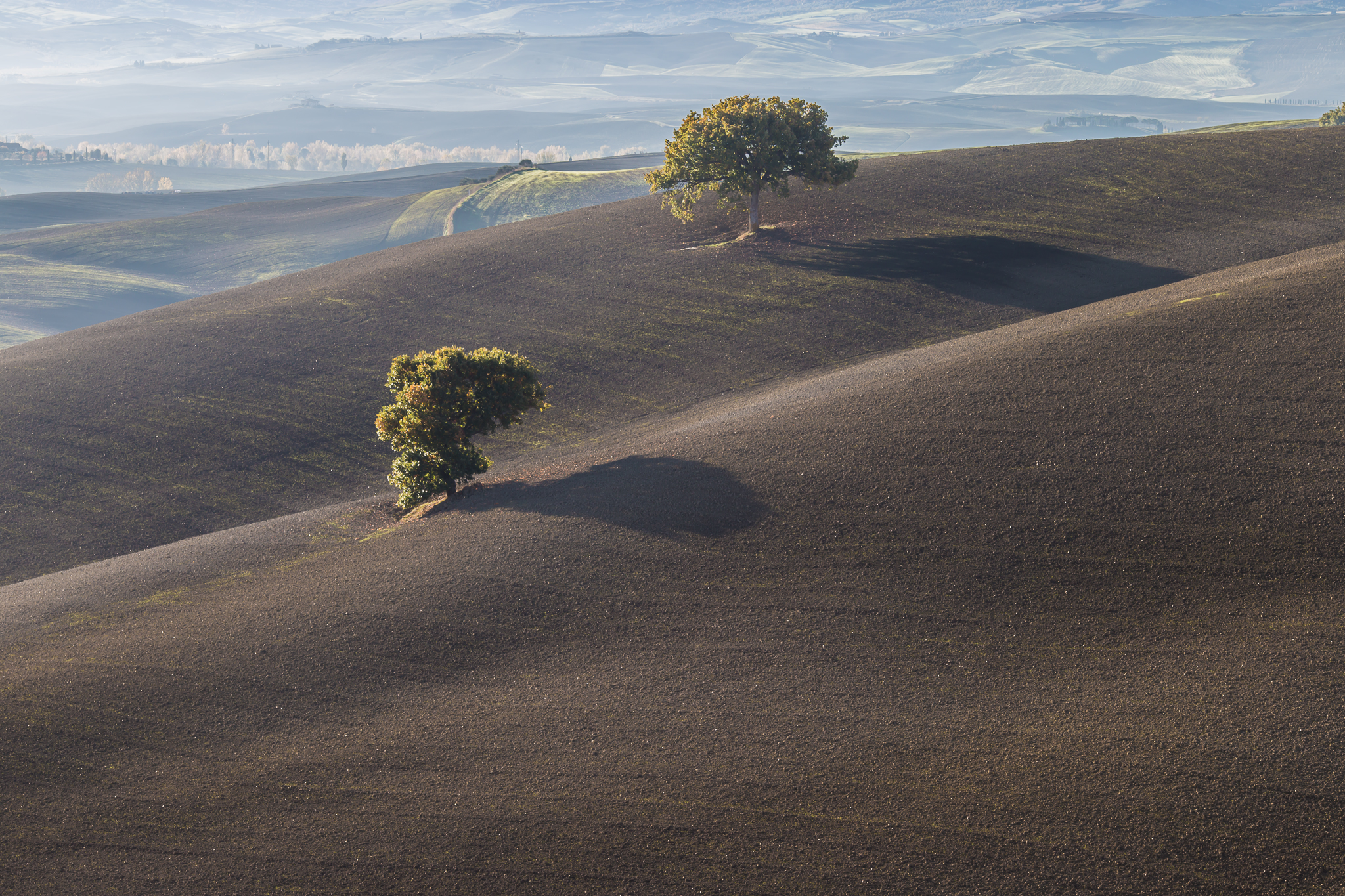 Val d'Orcia 2015
