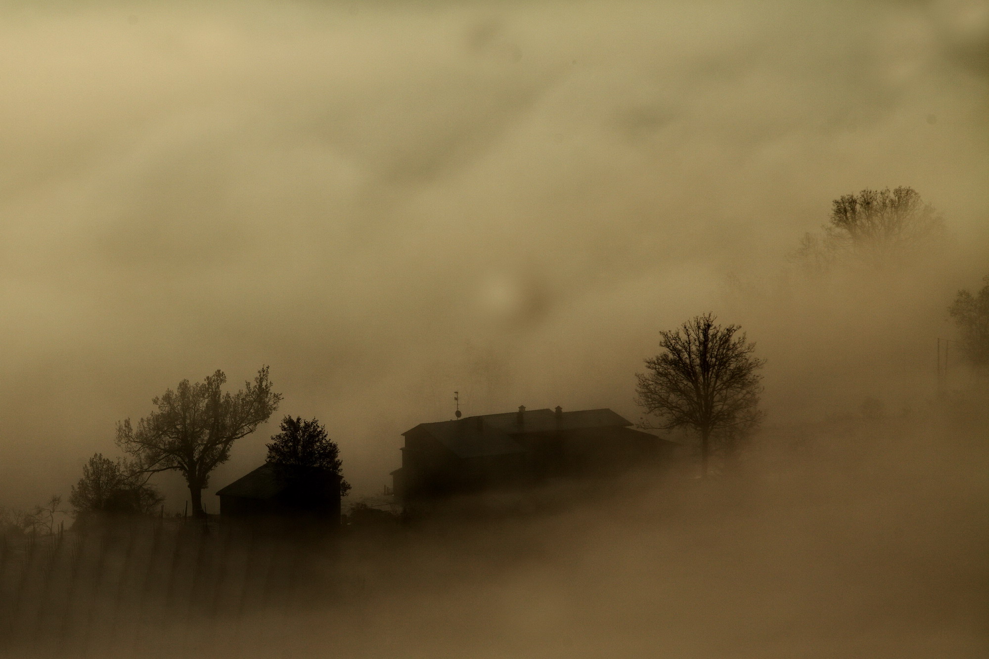autumn morning on the hills of Piacenza