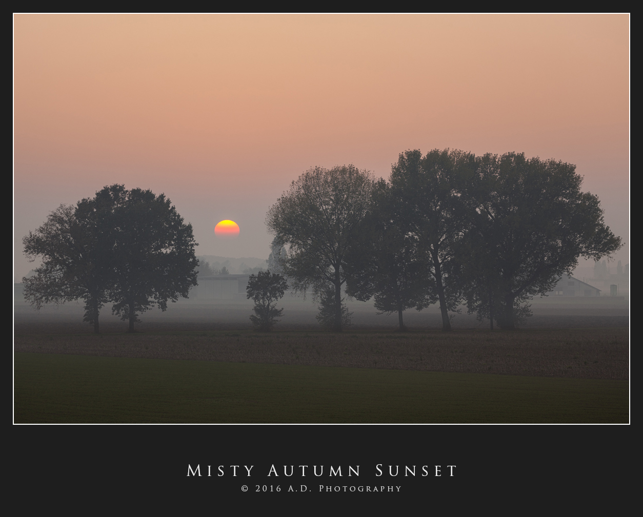 Misty Autumn Sunset