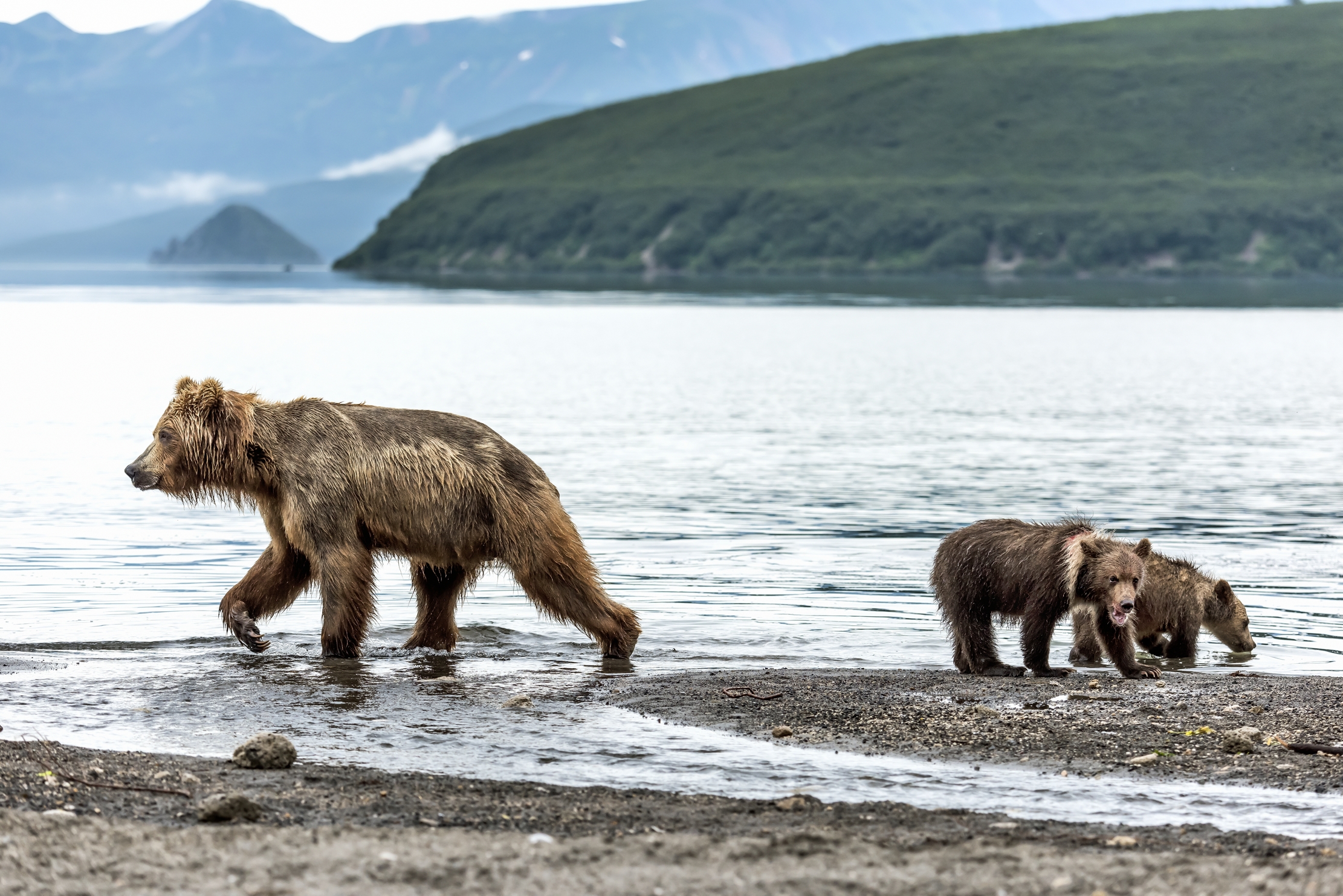 Kamchatka 2016 - Sulla riva del lago