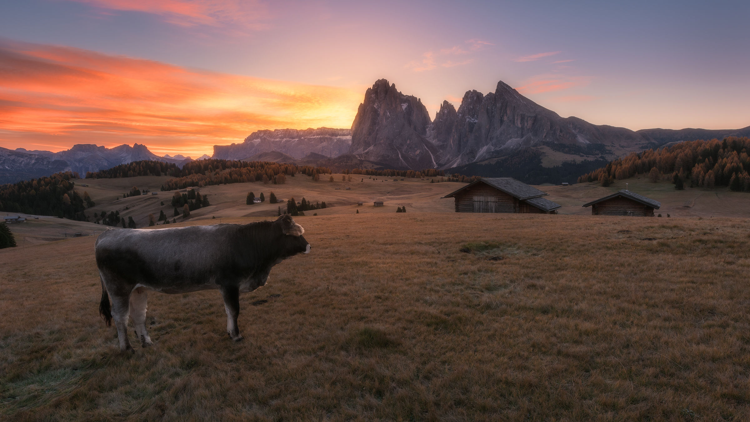 Alpe di Siusi