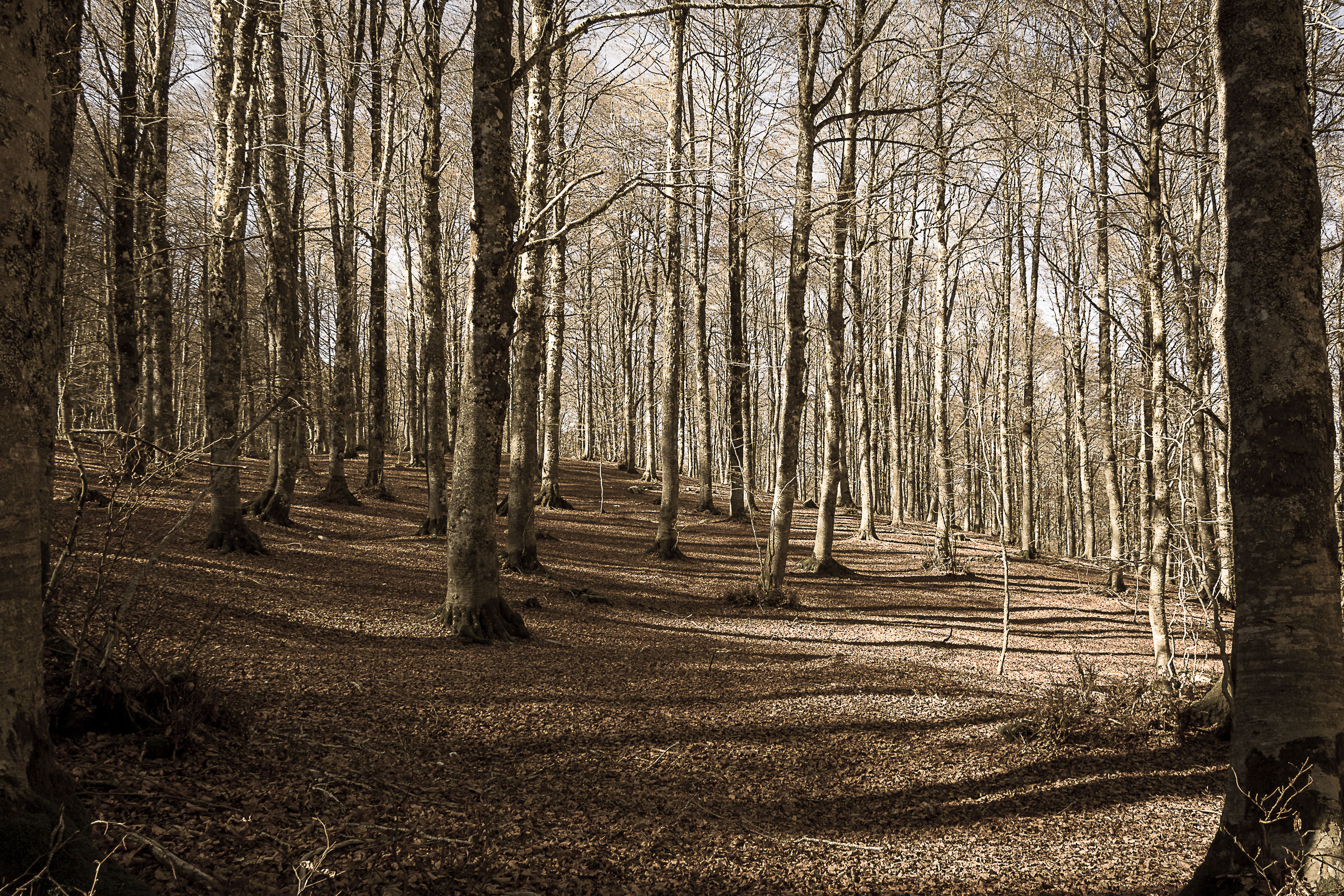 Forca D'Acero - Parco Naz. D'abruzzo