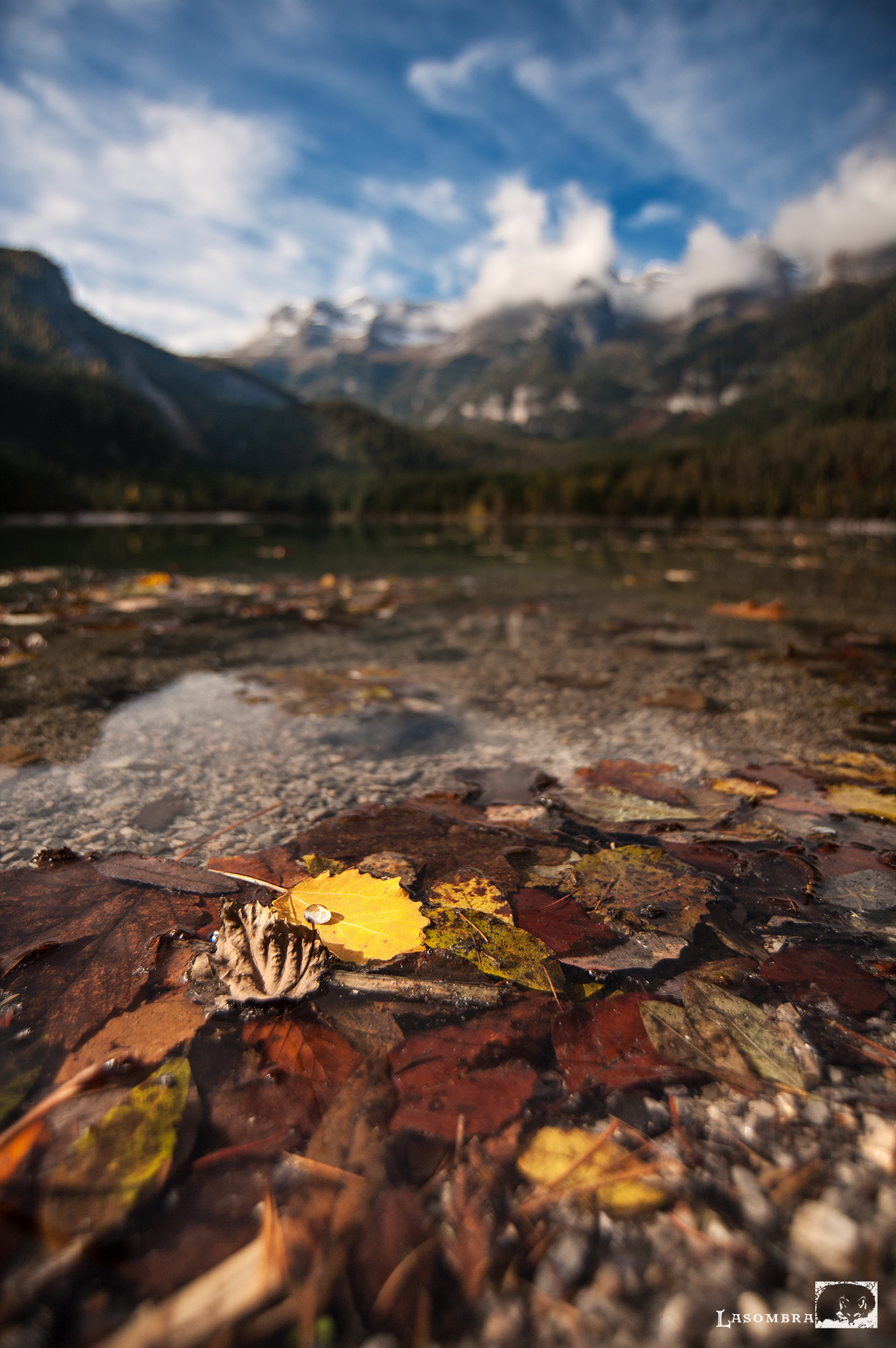 Gocciolina su Foglia......su Lago