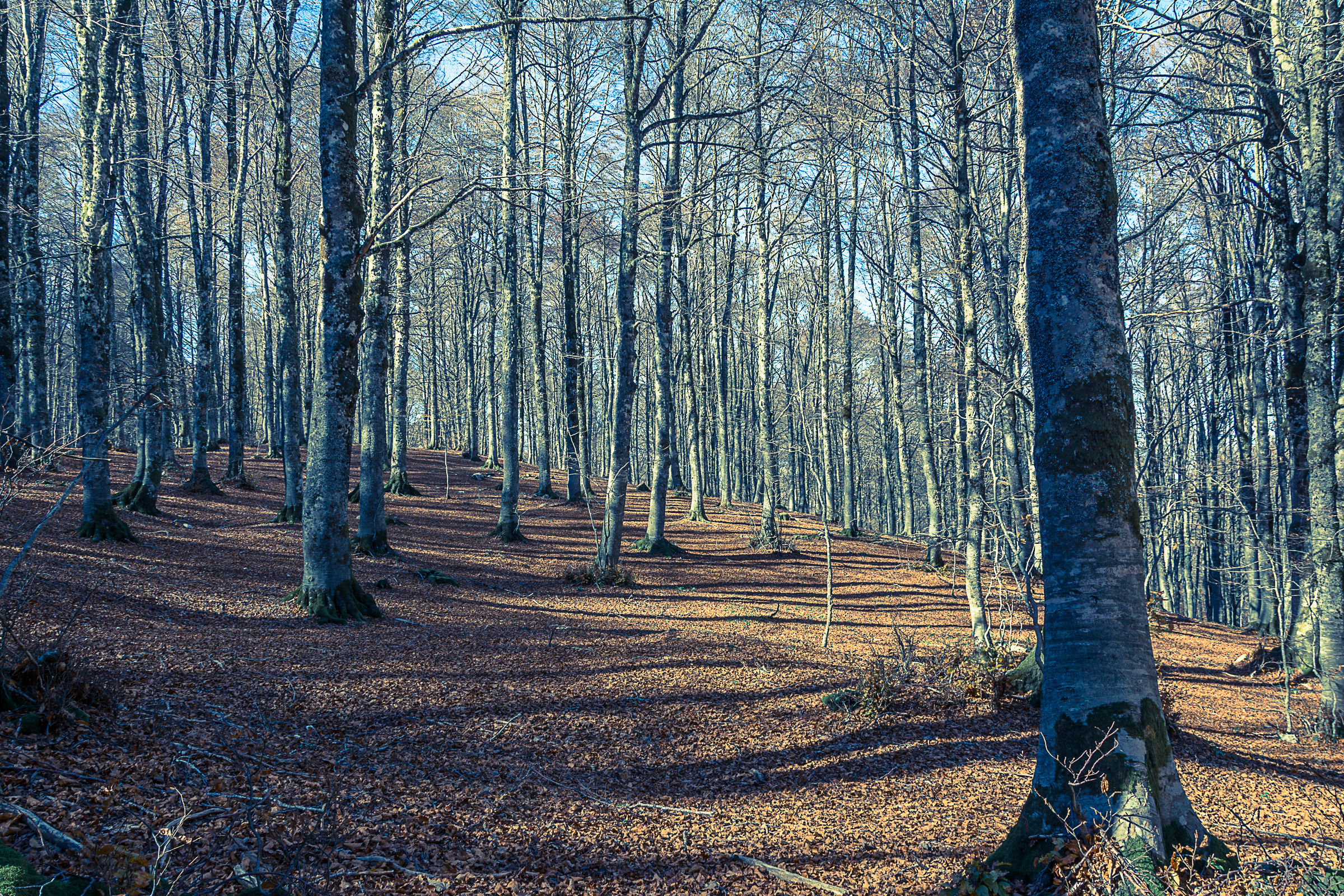 Forca D'Acero - Parco Naz. D'abruzzo