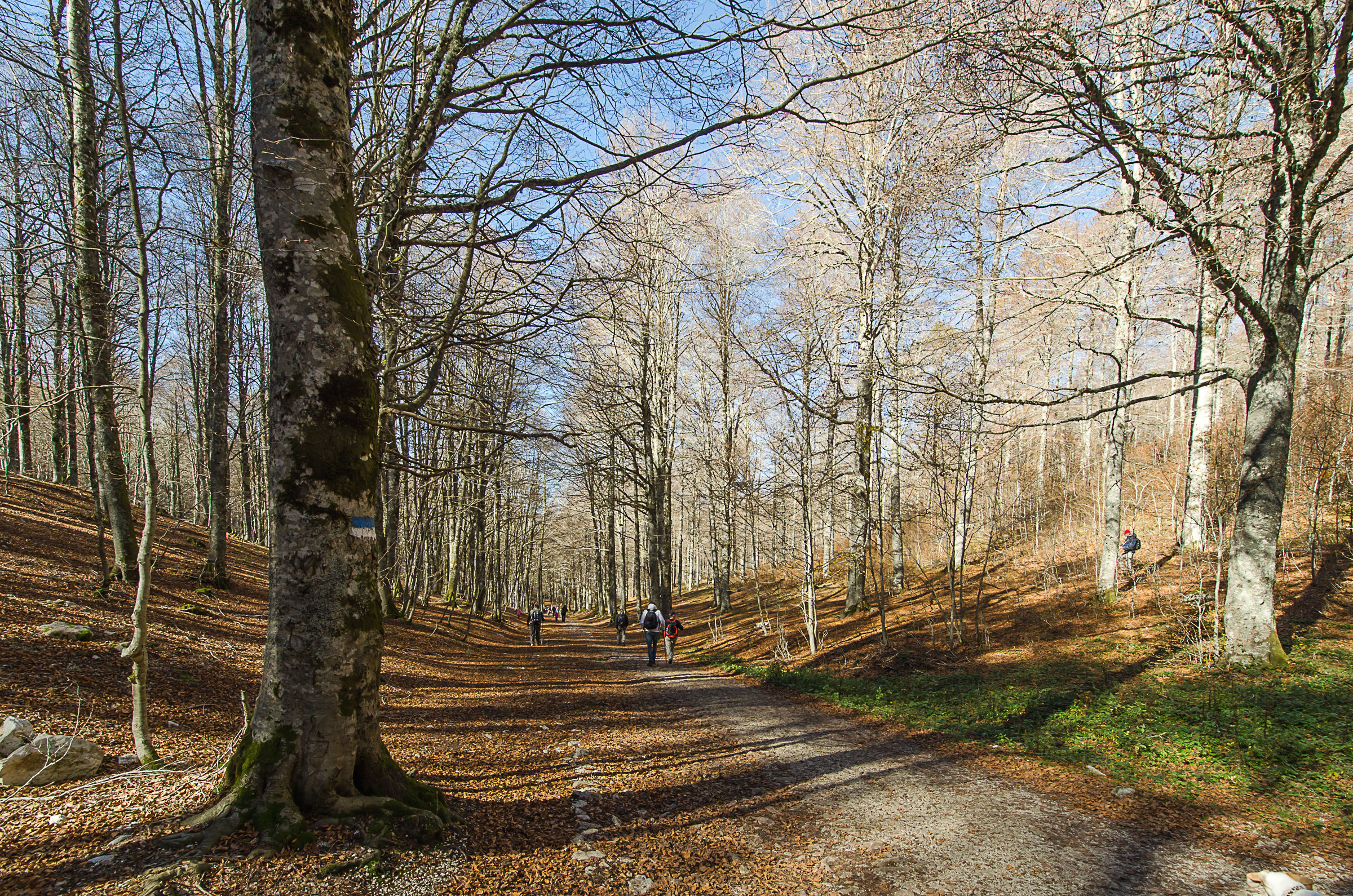 Forca D'Acero - Parco Naz. D'abruzzo