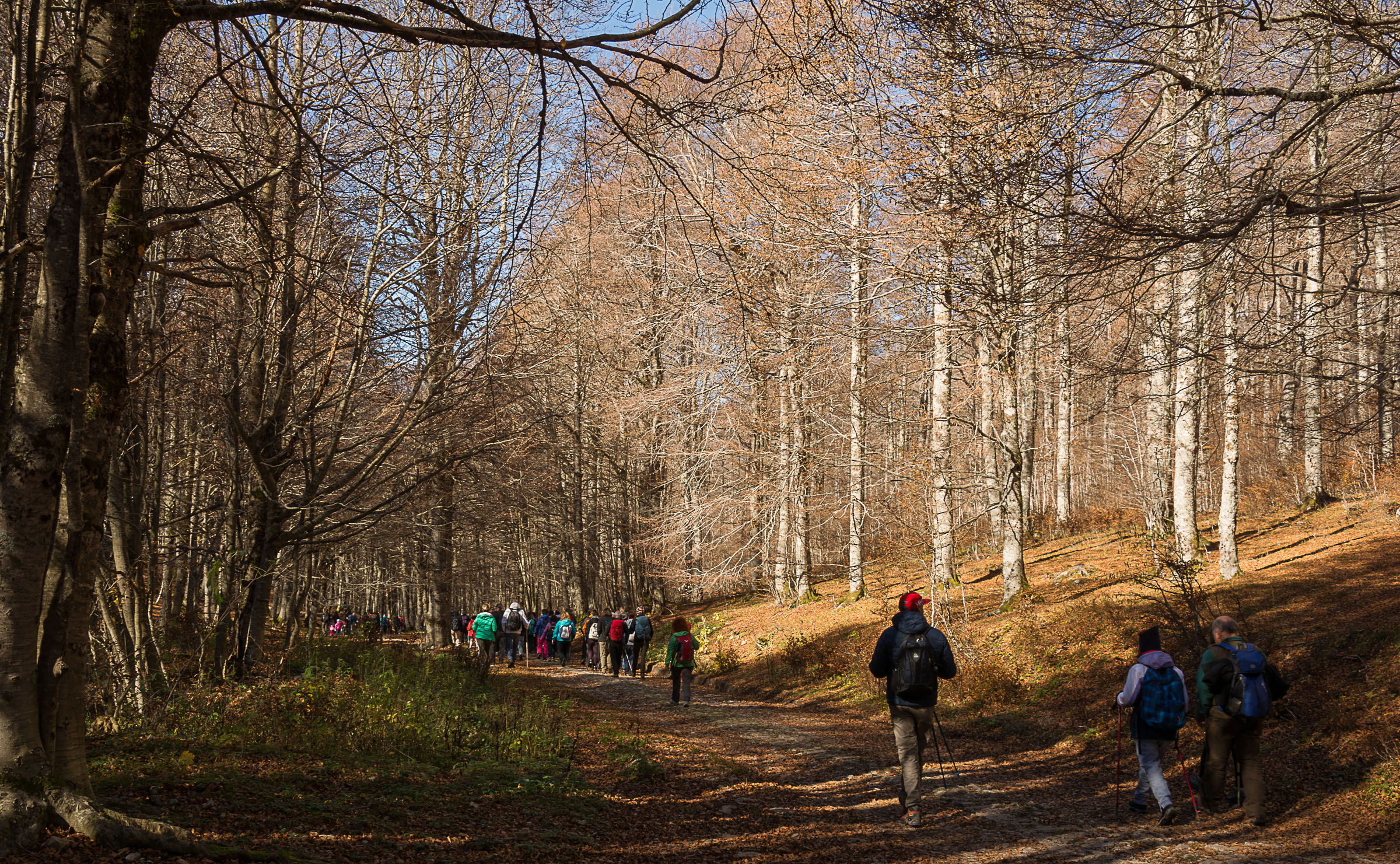 Forca D'Acero - Parco Naz. D'abruzzo